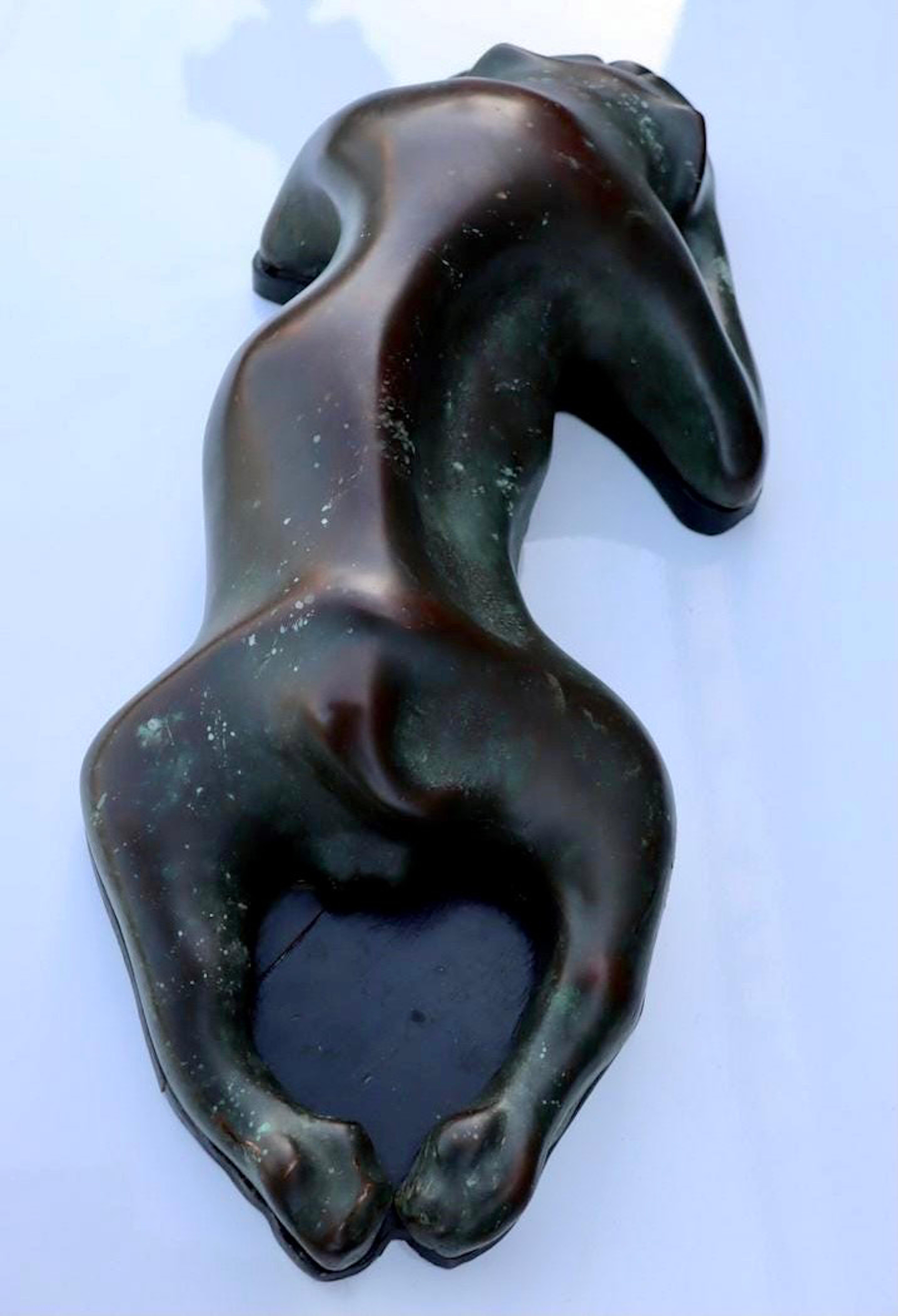 Large Bronze Modernist Biomorphic Sculpture Sleeping Dog Colin Webster Watson For Sale 1