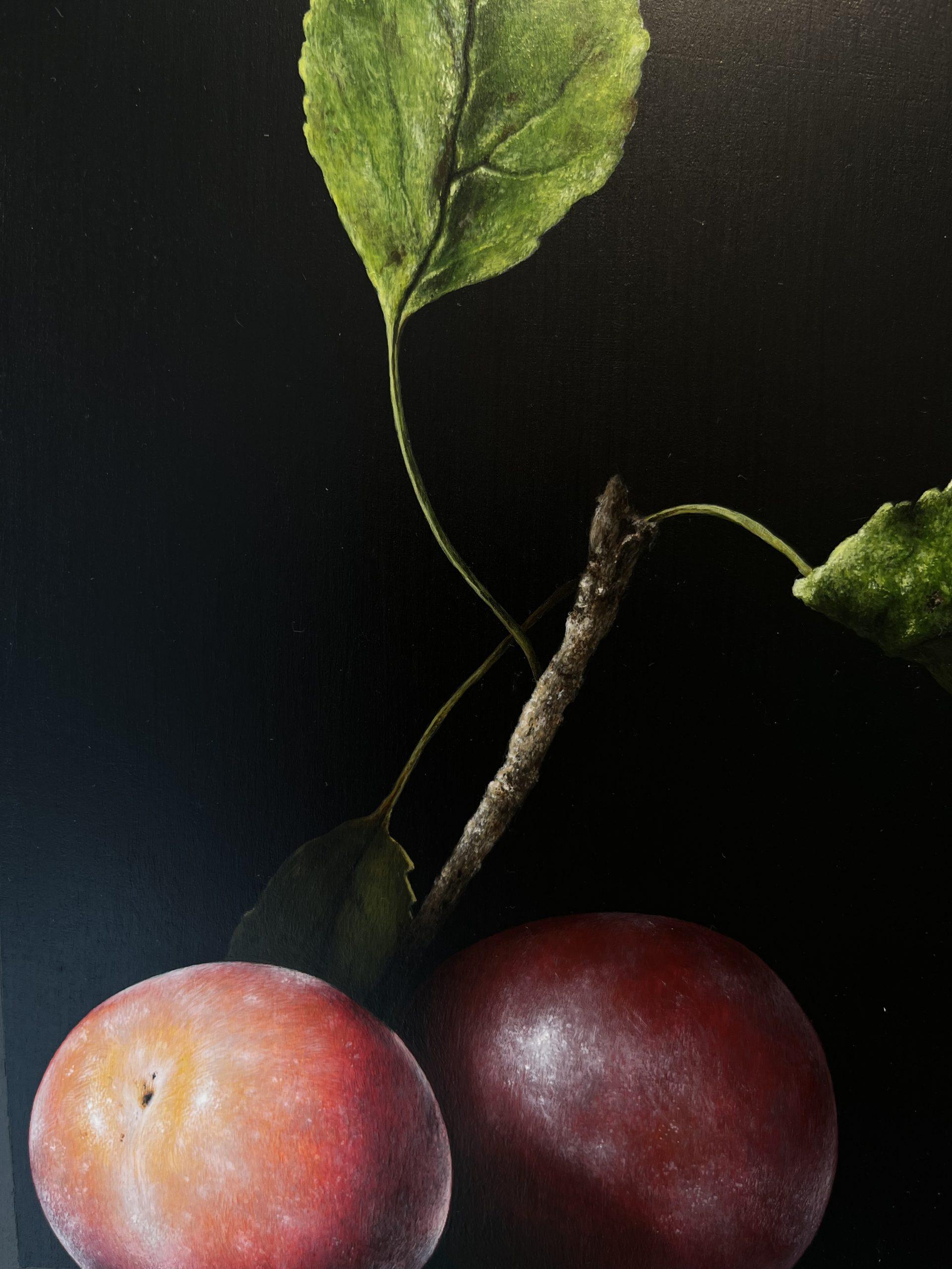A Pleasing Bloom-originale Hyper Realismus Stilleben Malerei-zeitgenössische Kunst (Schwarz), Still-Life Painting, von Colin wilson
