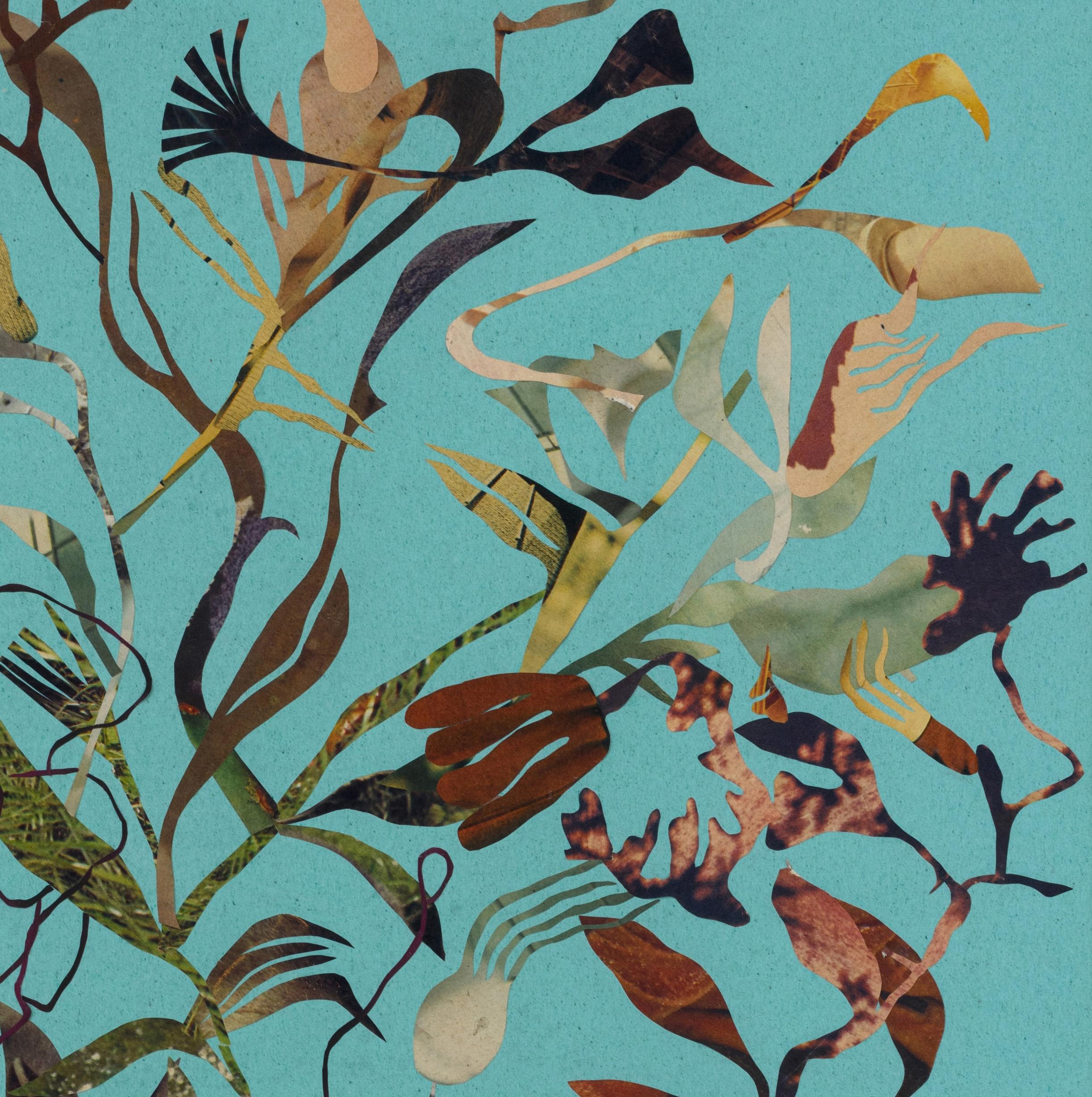 Collage Deep Roots der Künstlerin Stella Koleszár (Farbe) im Angebot