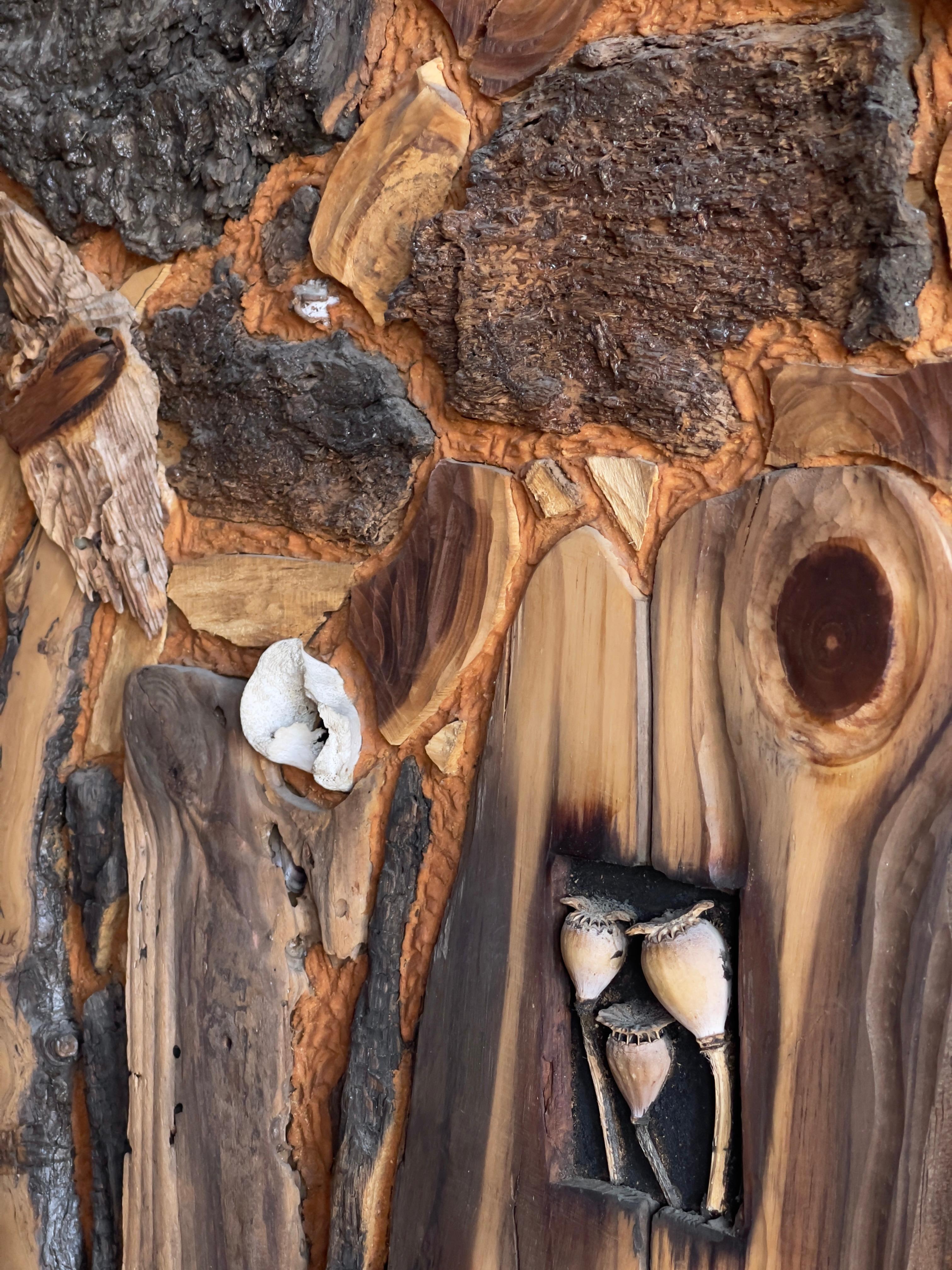 Late 20th Century Collage of natural elements in solid pine frame by G. Tvermoes Denmark 1977 For Sale