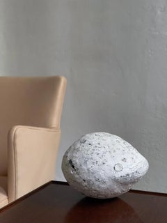 Pietra rotonda scultorea Danian-Aging raccolta, formata 63 milioni di anni fa