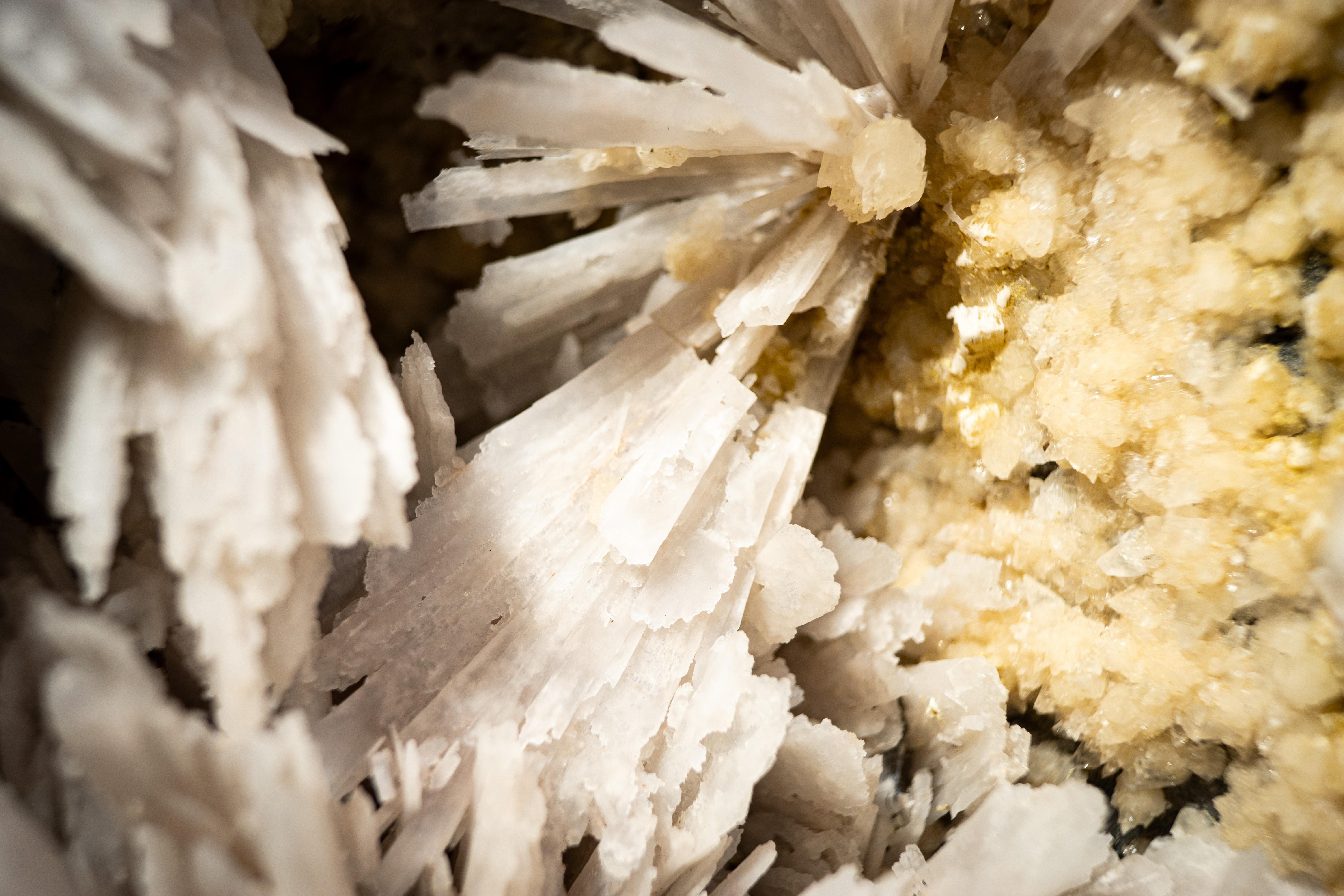 Collectional Geode di ametista cattedrale con rari fiori pseudomorfi bianchi in vendita 5