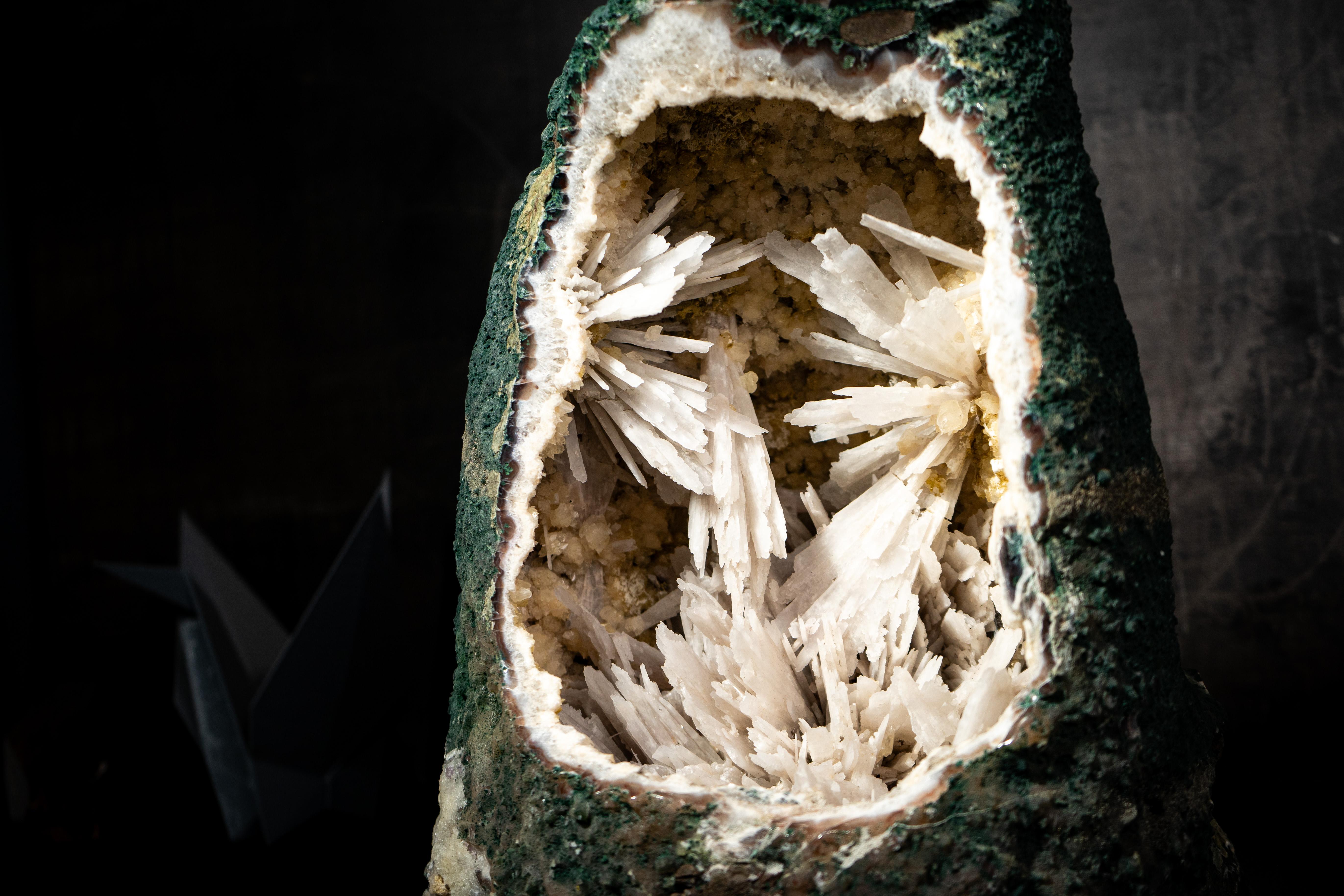 Raro geode con fiori pseudomorfi di quarzo bianco su matrice di calcite color crema

▫️ Descrizione

Elegante e scultoreo, questo geode mette in mostra alcuni degli elementi più rari che si possano trovare sulla terra in un esemplare intatto e