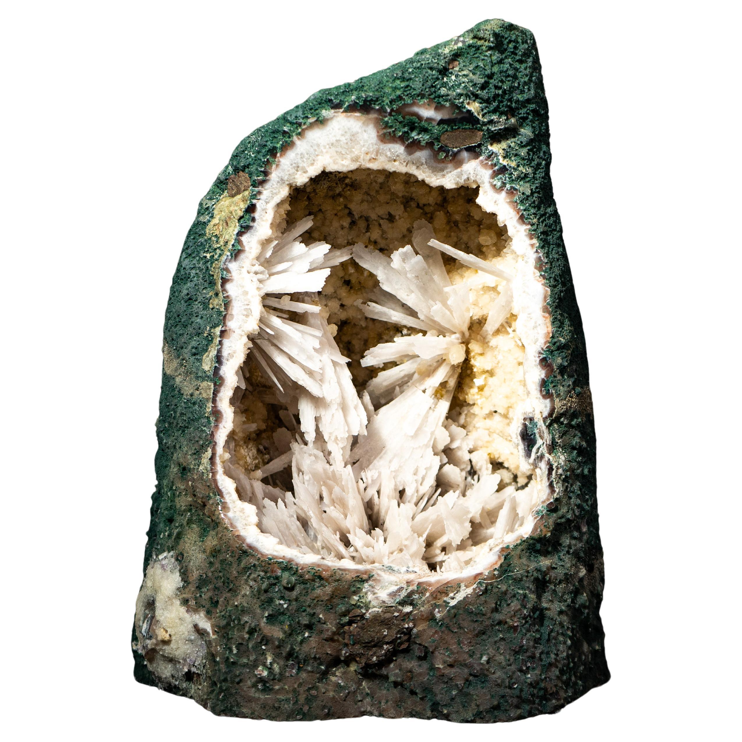 Collection Amethyst Geode Cathedral with Rare White Pseudomorph Flowers