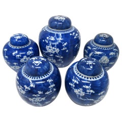 Collection Chinese Export Ginger Jars Prunus Blossoms Cracked Ice Pattern 19thCt
