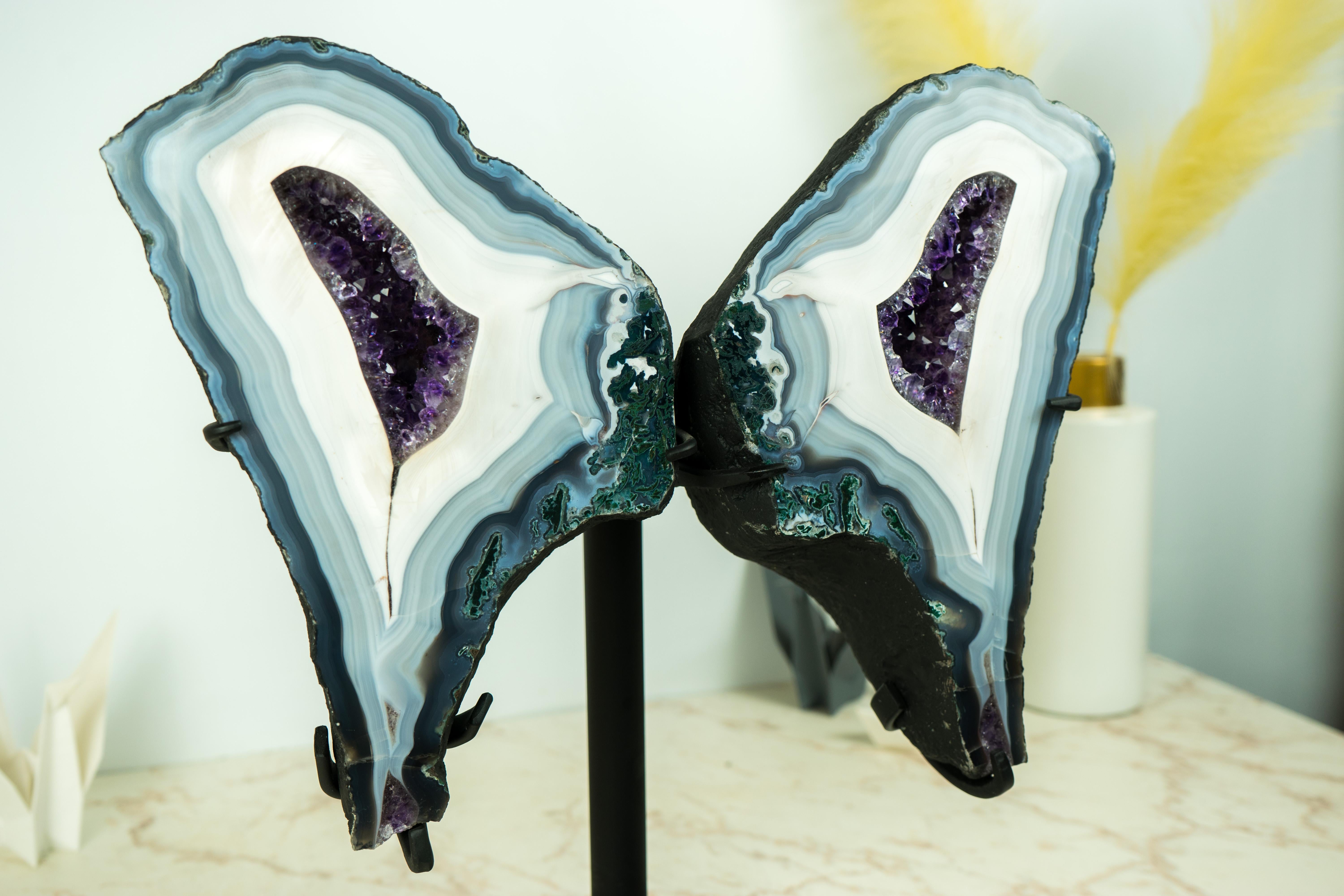 Collection'S Agata Lace Wings Geode, Agata blu e bianca rara e Ametista in vendita 9