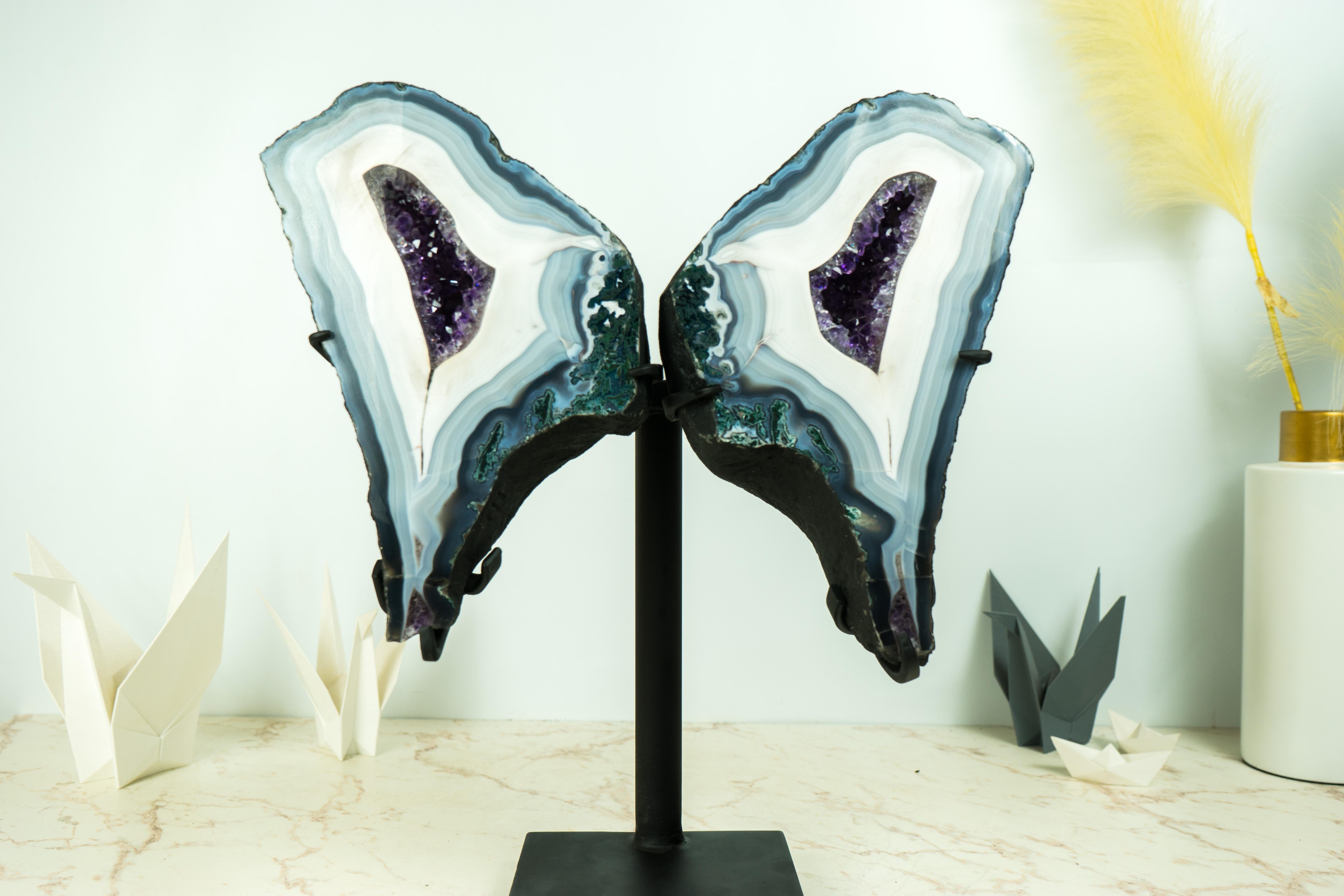 Brasiliano Collection'S Agata Lace Wings Geode, Agata blu e bianca rara e Ametista in vendita