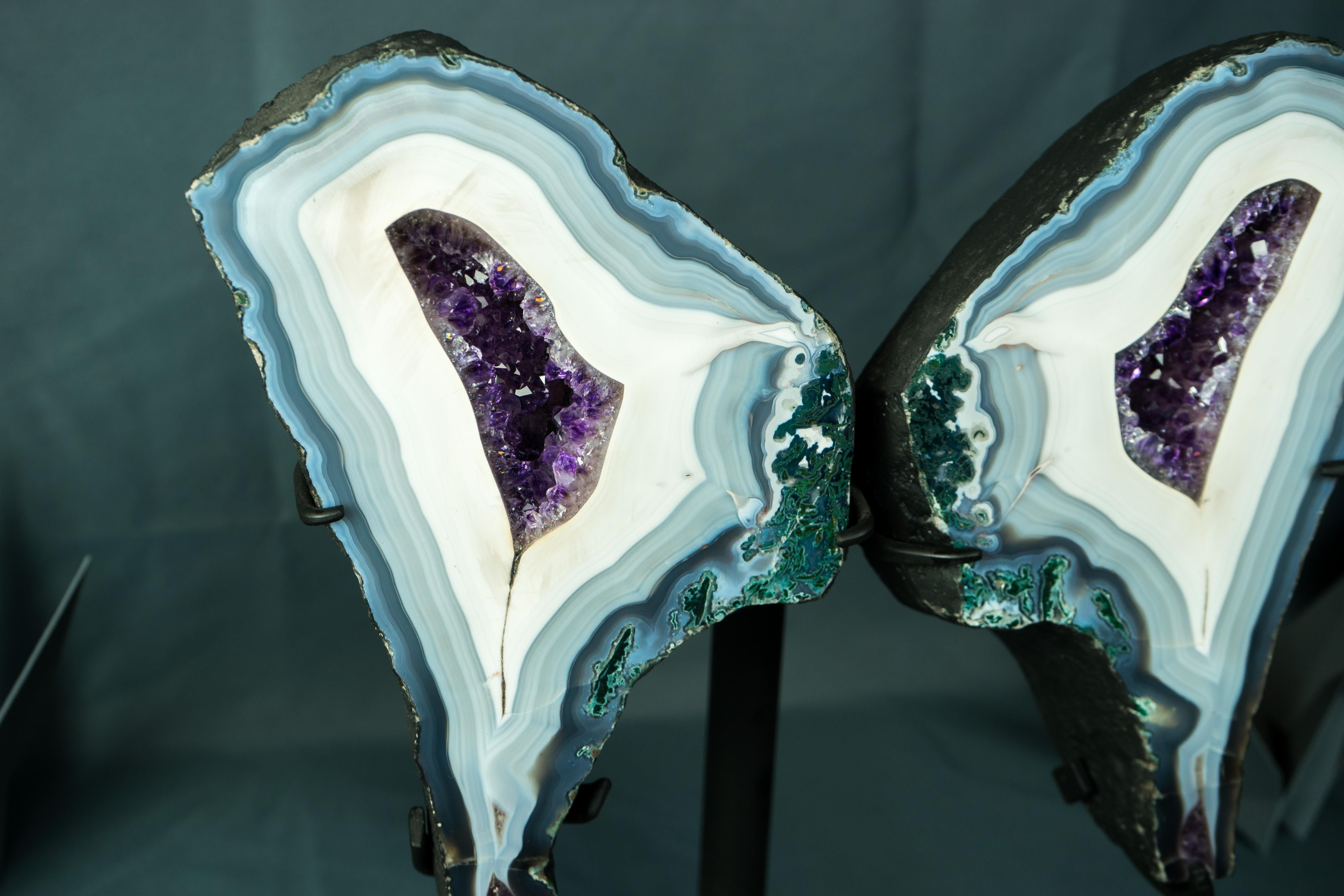 XXI secolo e contemporaneo Collection'S Agata Lace Wings Geode, Agata blu e bianca rara e Ametista in vendita