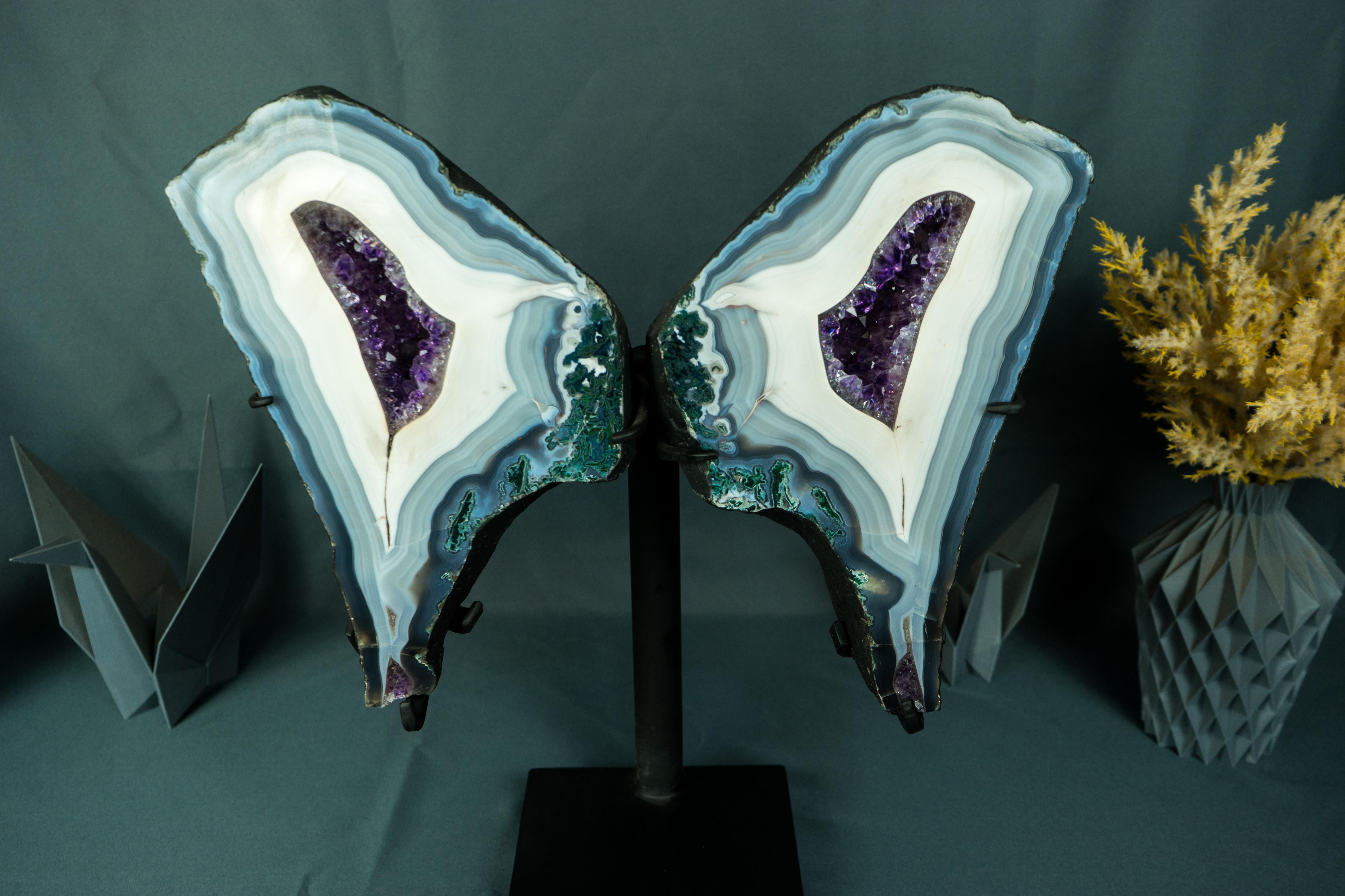 Collection'S Agata Lace Wings Geode, Agata blu e bianca rara e Ametista in vendita 1