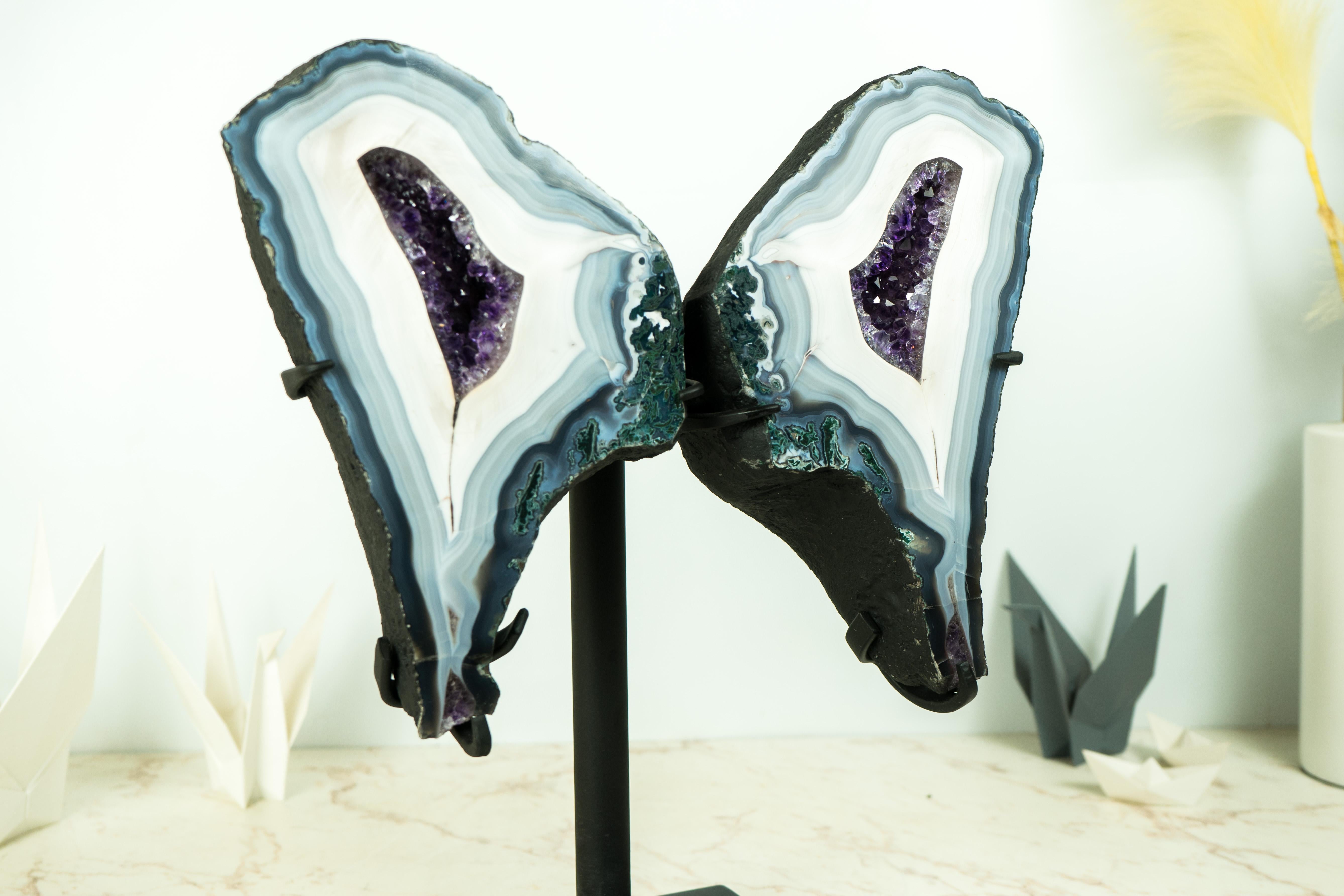 Collection'S Agata Lace Wings Geode, Agata blu e bianca rara e Ametista in vendita 3