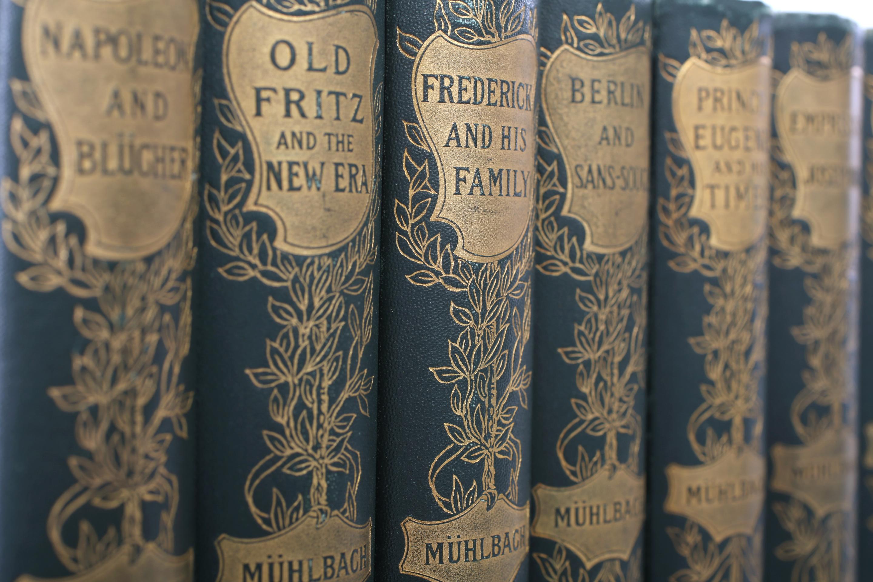 Fine XIX secolo Set di libri da biblioteca rilegati in pelle in vendita