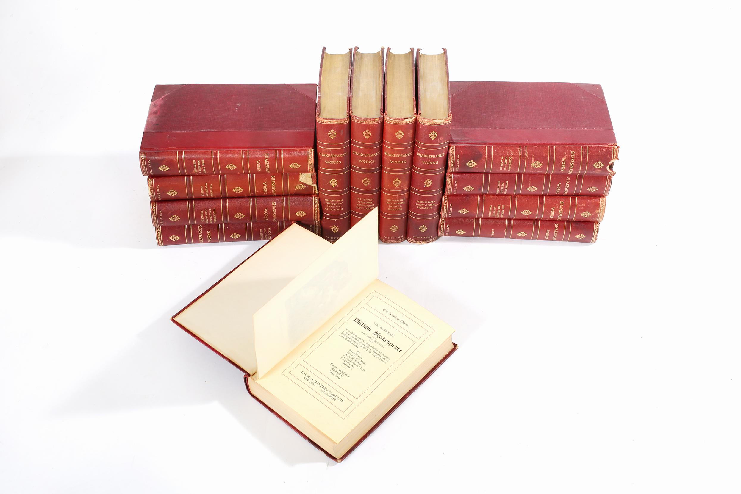 Sammlung Ledergebundene Bibliothek Buch Set Dreizehn (20. Jahrhundert) im Angebot