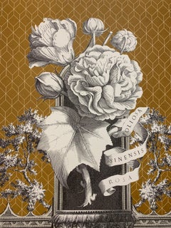 Collection Manhattan Blooms "Number 2" 'Available Numbers 1-3-4'