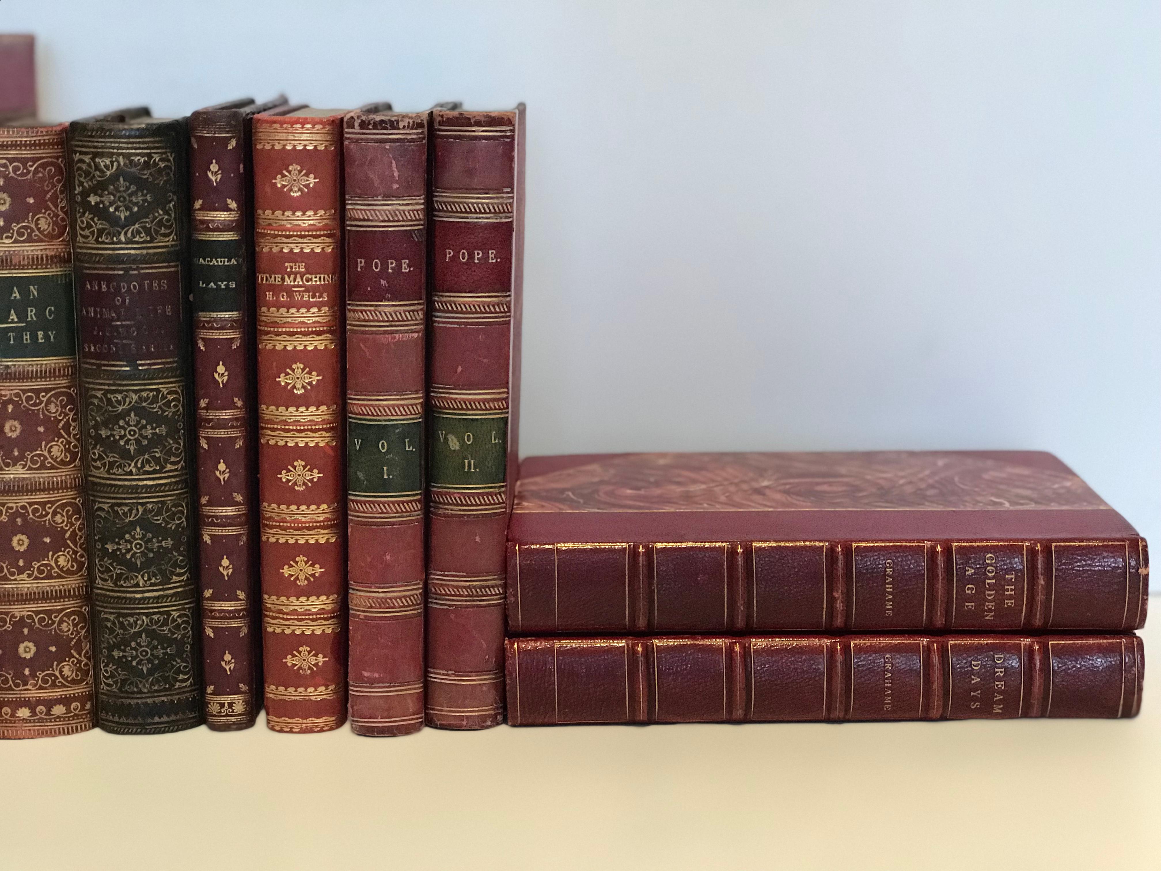 Unknown Collection of 10 Antique Red Leather Books