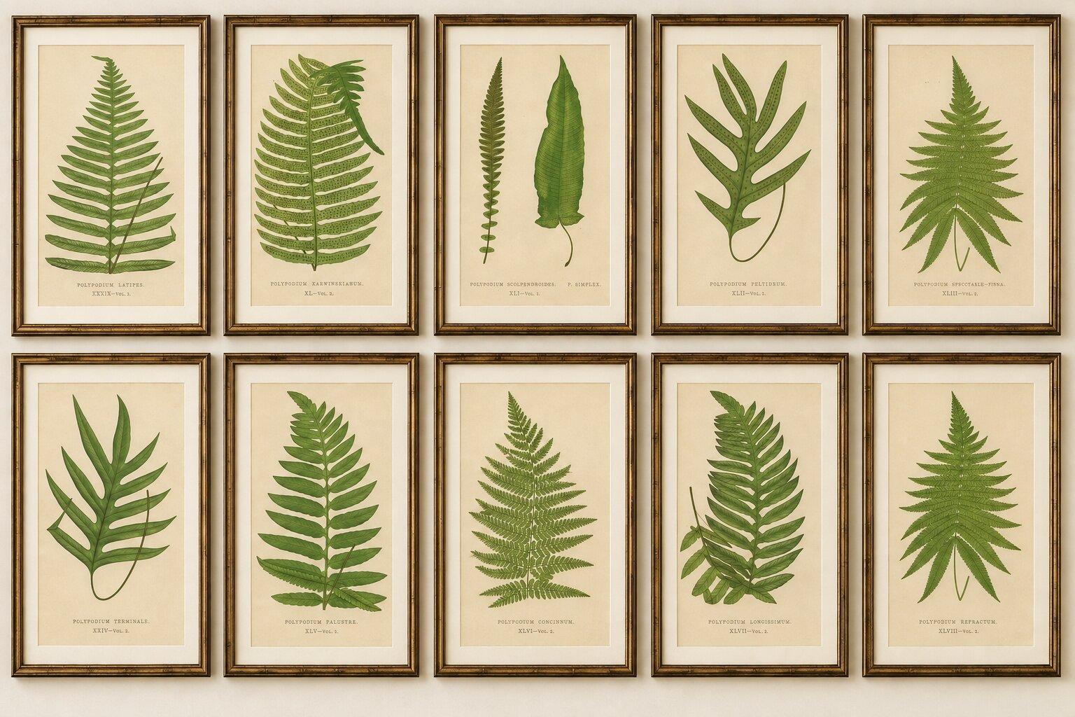 Collection of 10 Original Antique Tropical Fern Lithographs by E.J. Lowe, 1856