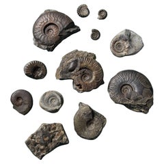 Sculture del XV secolo e precedenti