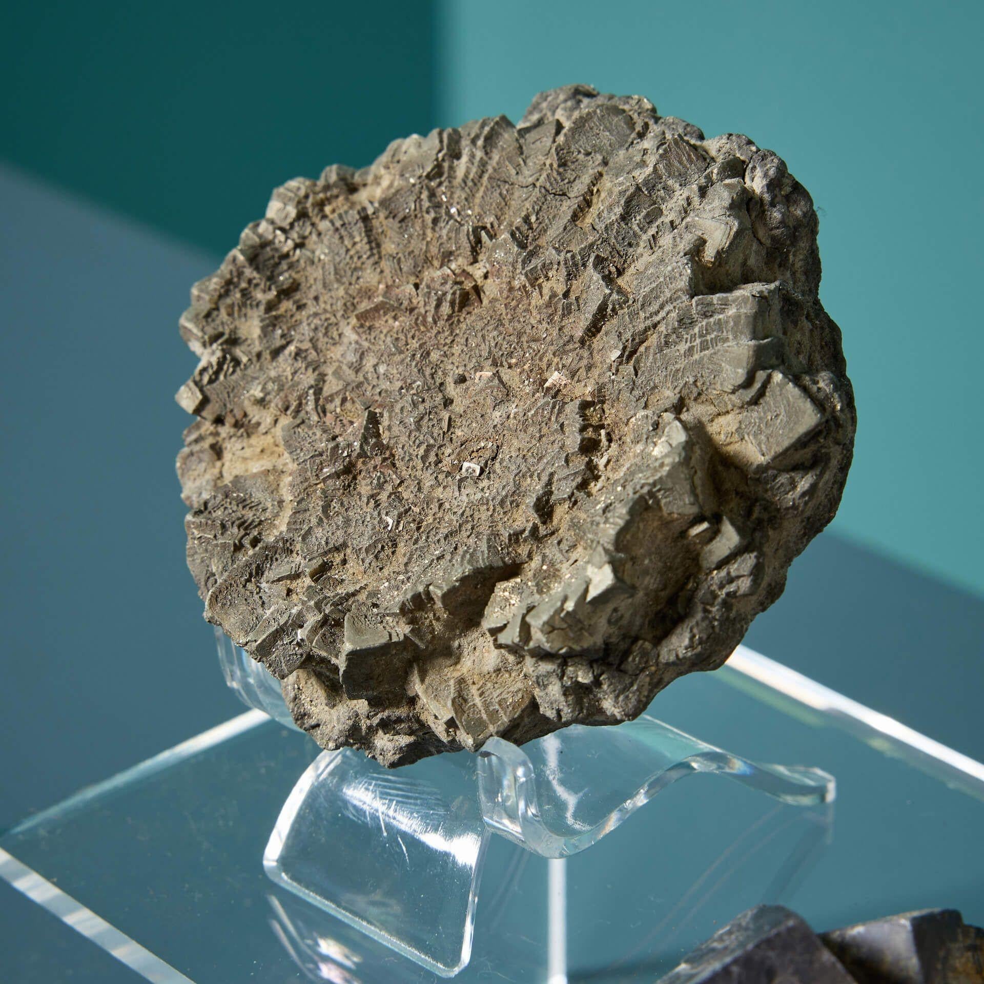 Multi-gemstone Collection of 13 Prehistoric Mineral Specimens including Pyrite & Galena For Sale