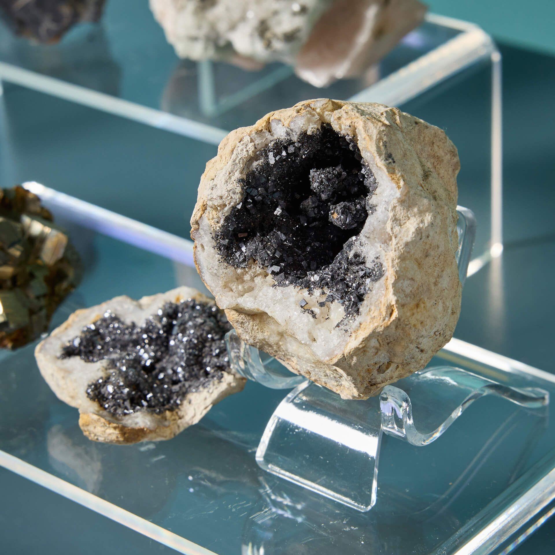 Collection of 13 Prehistoric Mineral Specimens including Pyrite & Galena For Sale 2