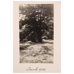 Collection of 16 Black and White Photos of Carmel California