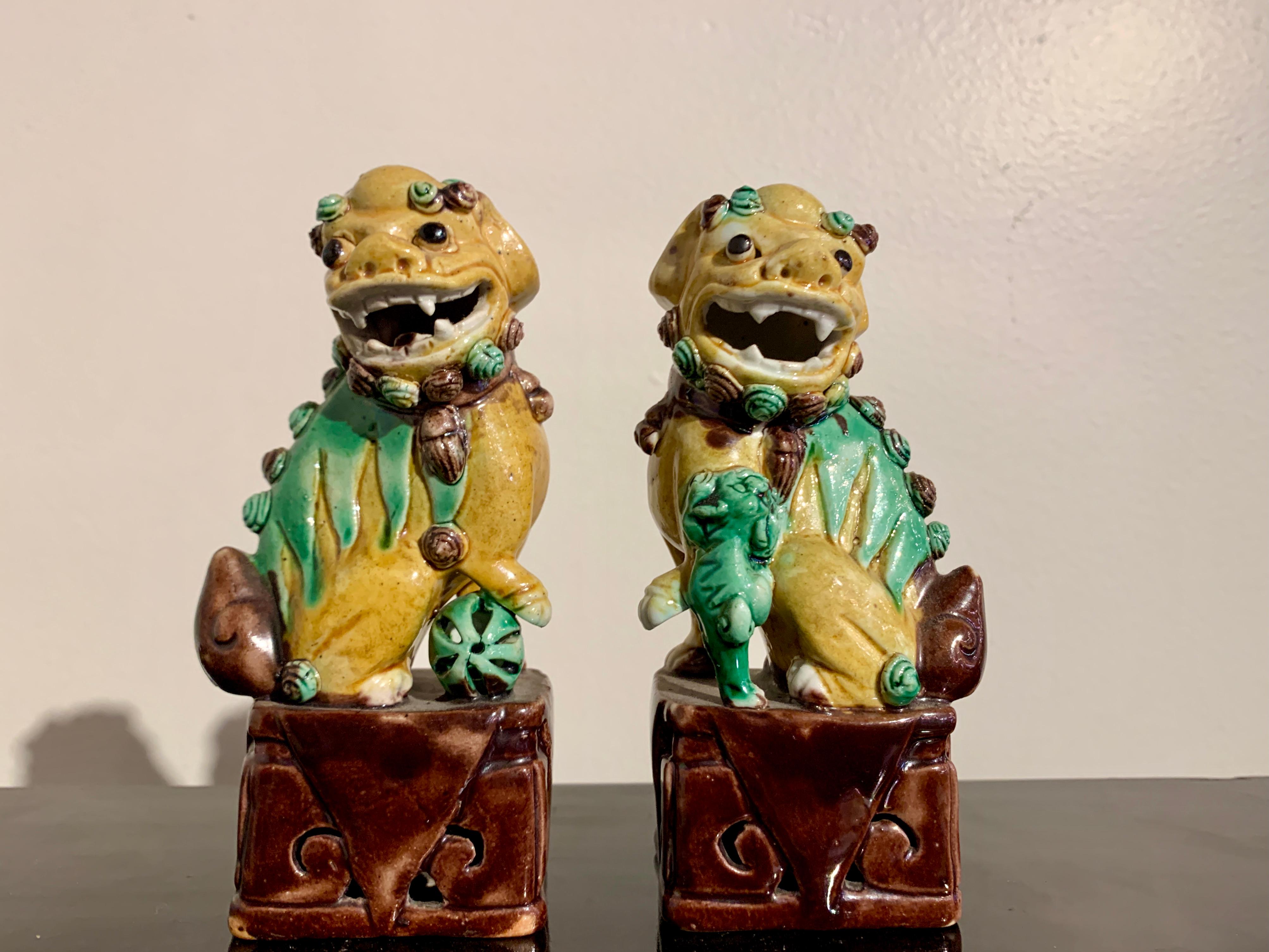 Collection of 16 Chinese Yellow Glazed Foo Dogs, Early 20th Century, China 8