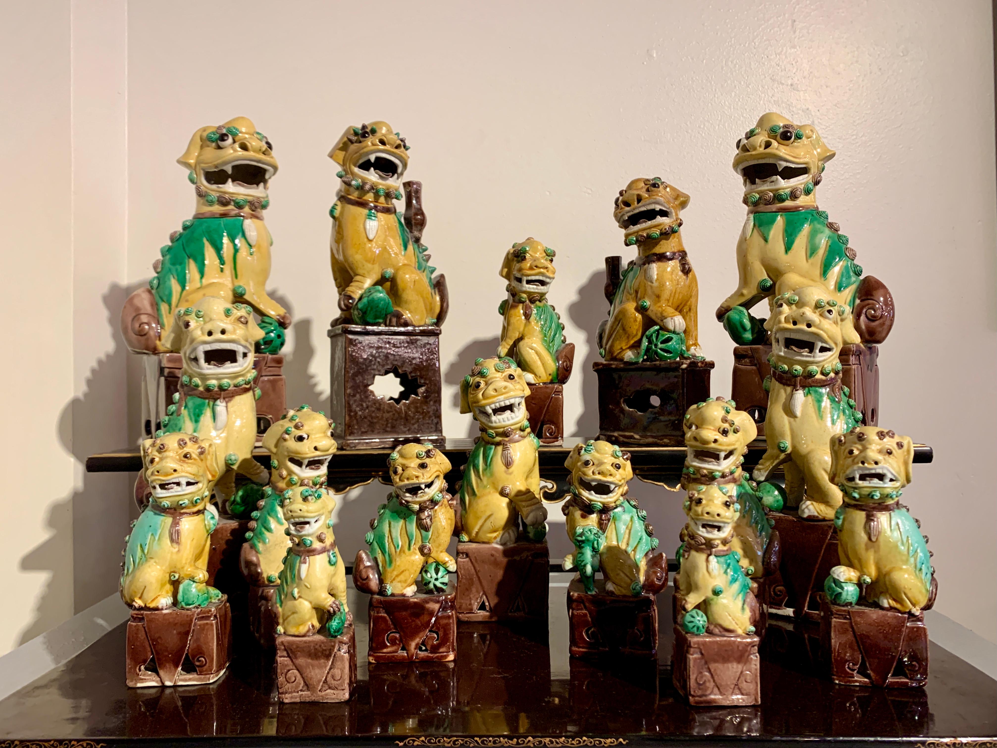 A fabulous and impressive collection of sixteen (16) ceramic Chinese export foo dogs (also known as foo lions), glazed in yellow, green and aubergine, late 19th and early 20th century, circa 1890's - 1930's, China.

This incredible collection of