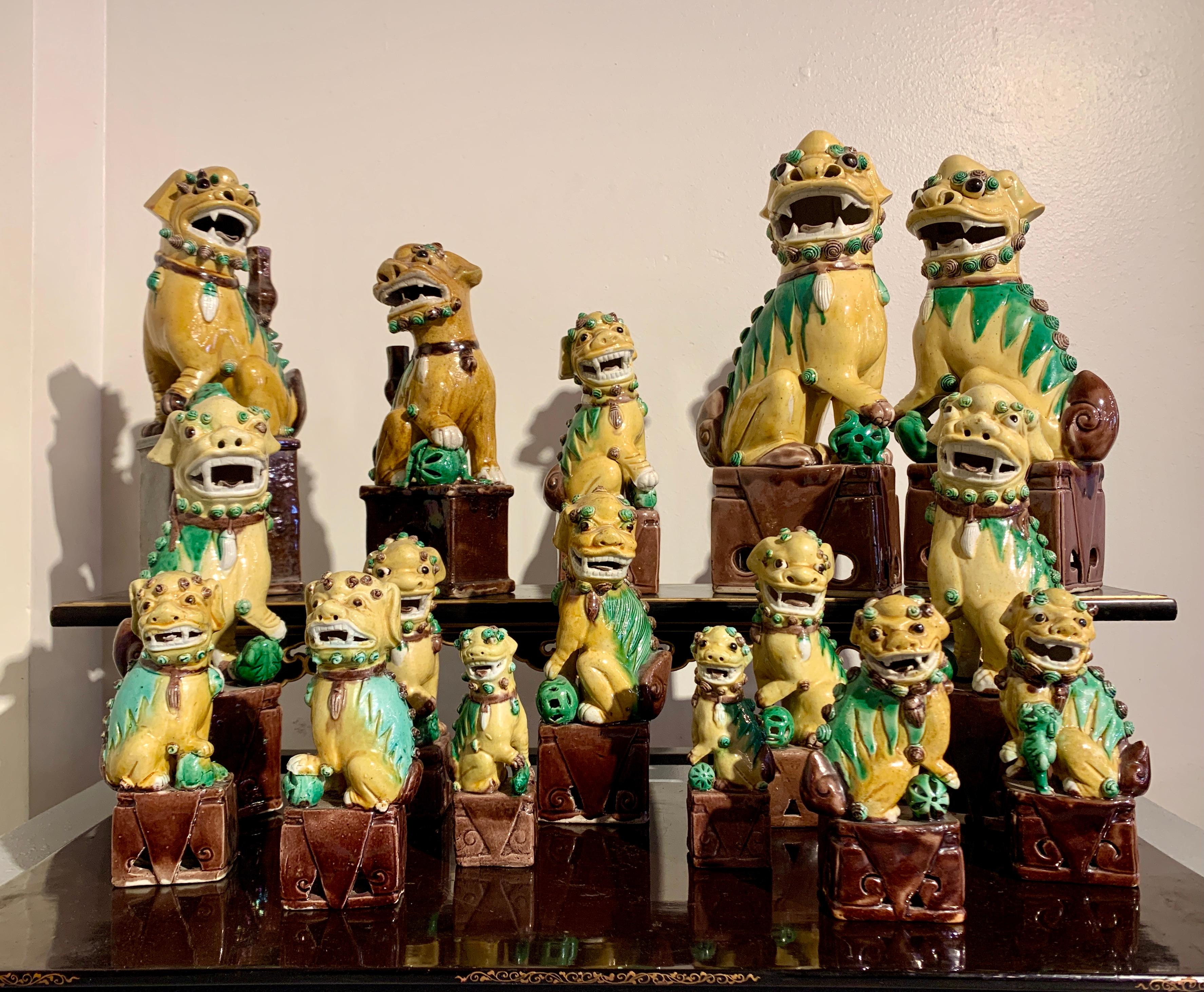 Chinese Export Collection of 16 Chinese Yellow Glazed Foo Dogs, Early 20th Century, China