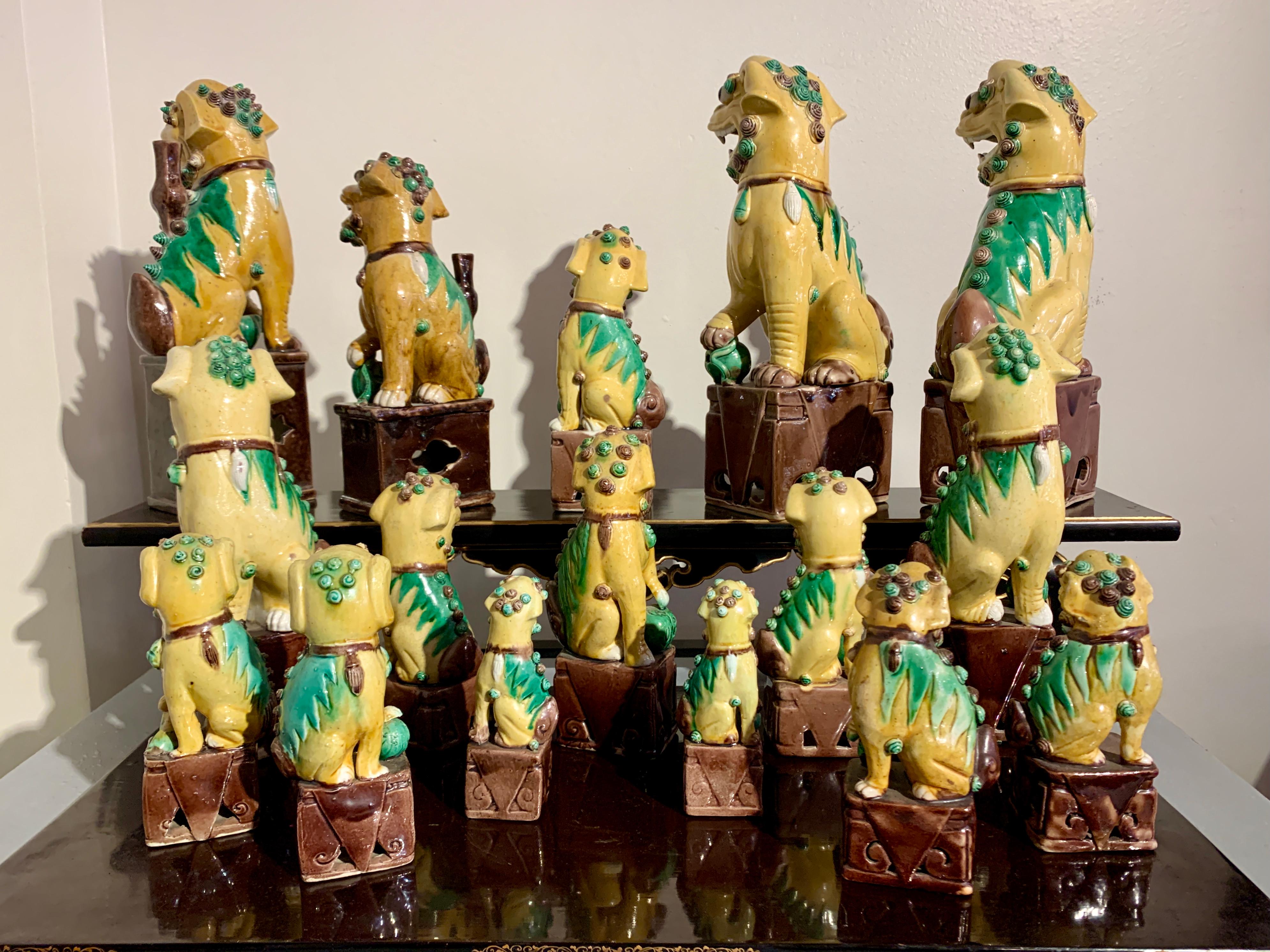 Collection of 16 Chinese Yellow Glazed Foo Dogs, Early 20th Century, China In Good Condition In Austin, TX