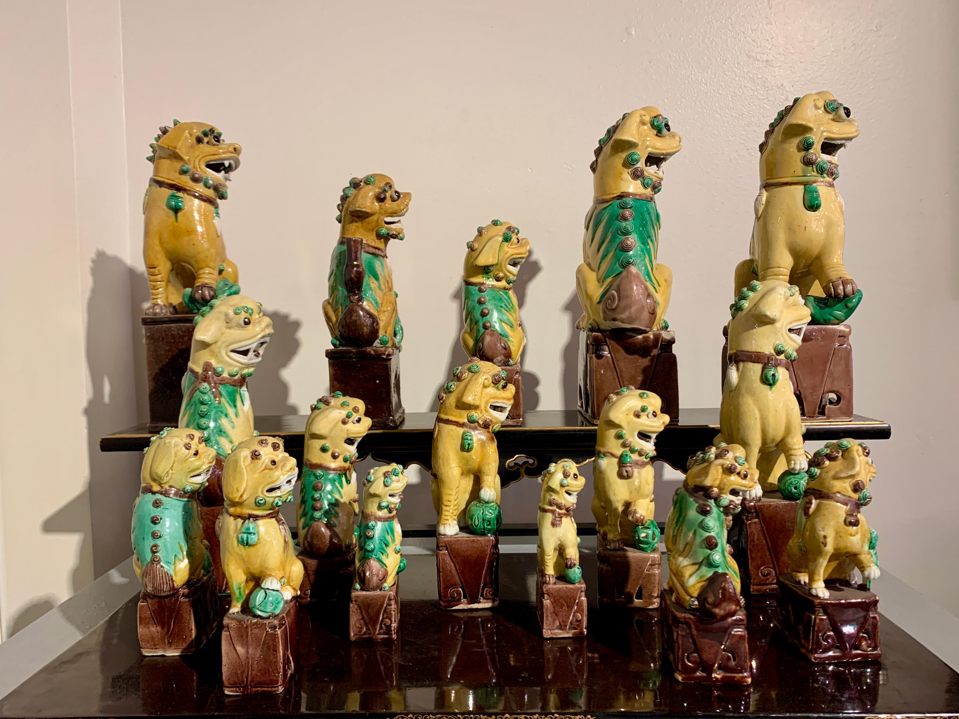 Ceramic Collection of 16 Chinese Yellow Glazed Foo Dogs, Early 20th Century, China