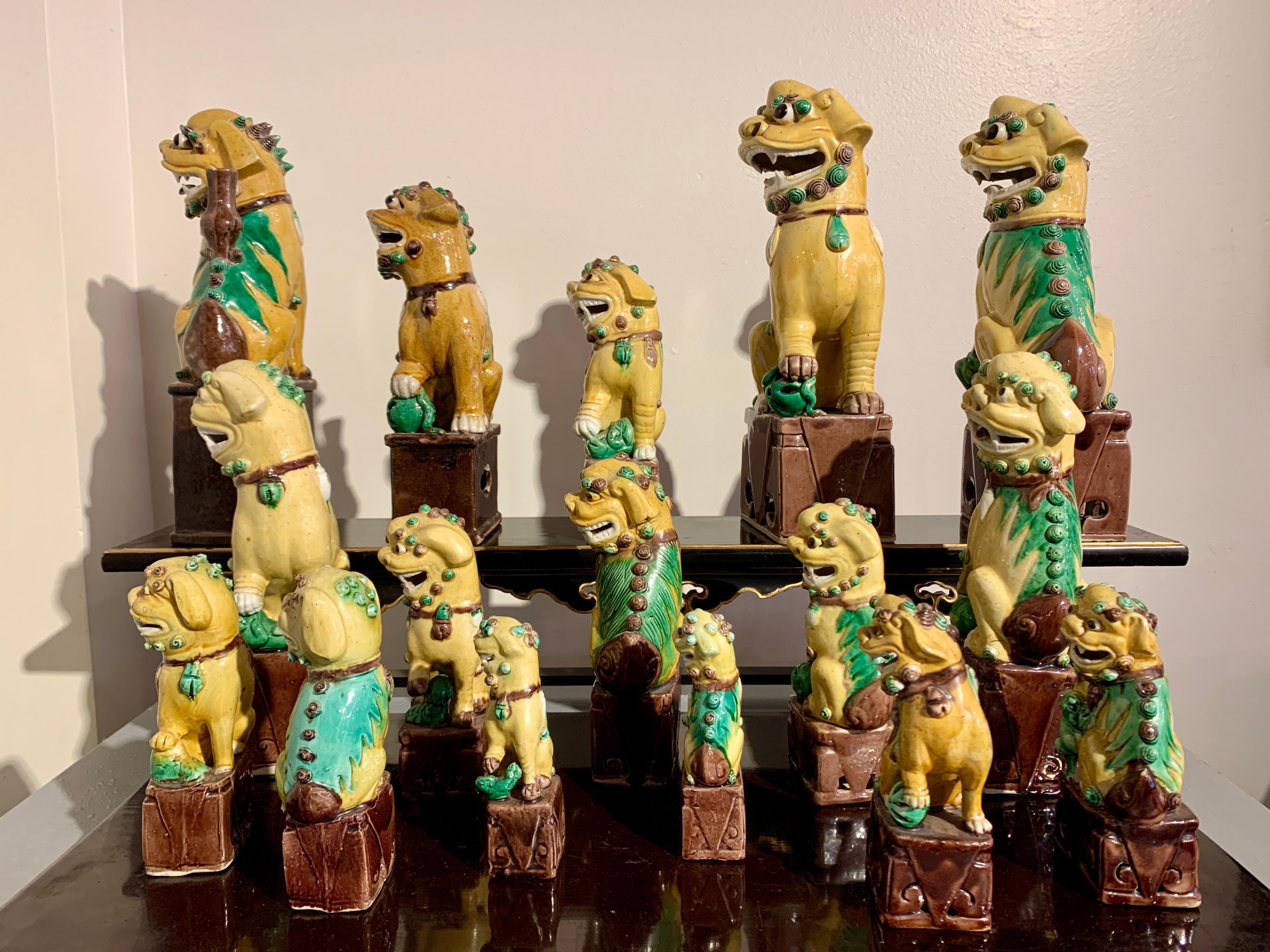 Collection of 16 Chinese Yellow Glazed Foo Dogs, Early 20th Century, China 1