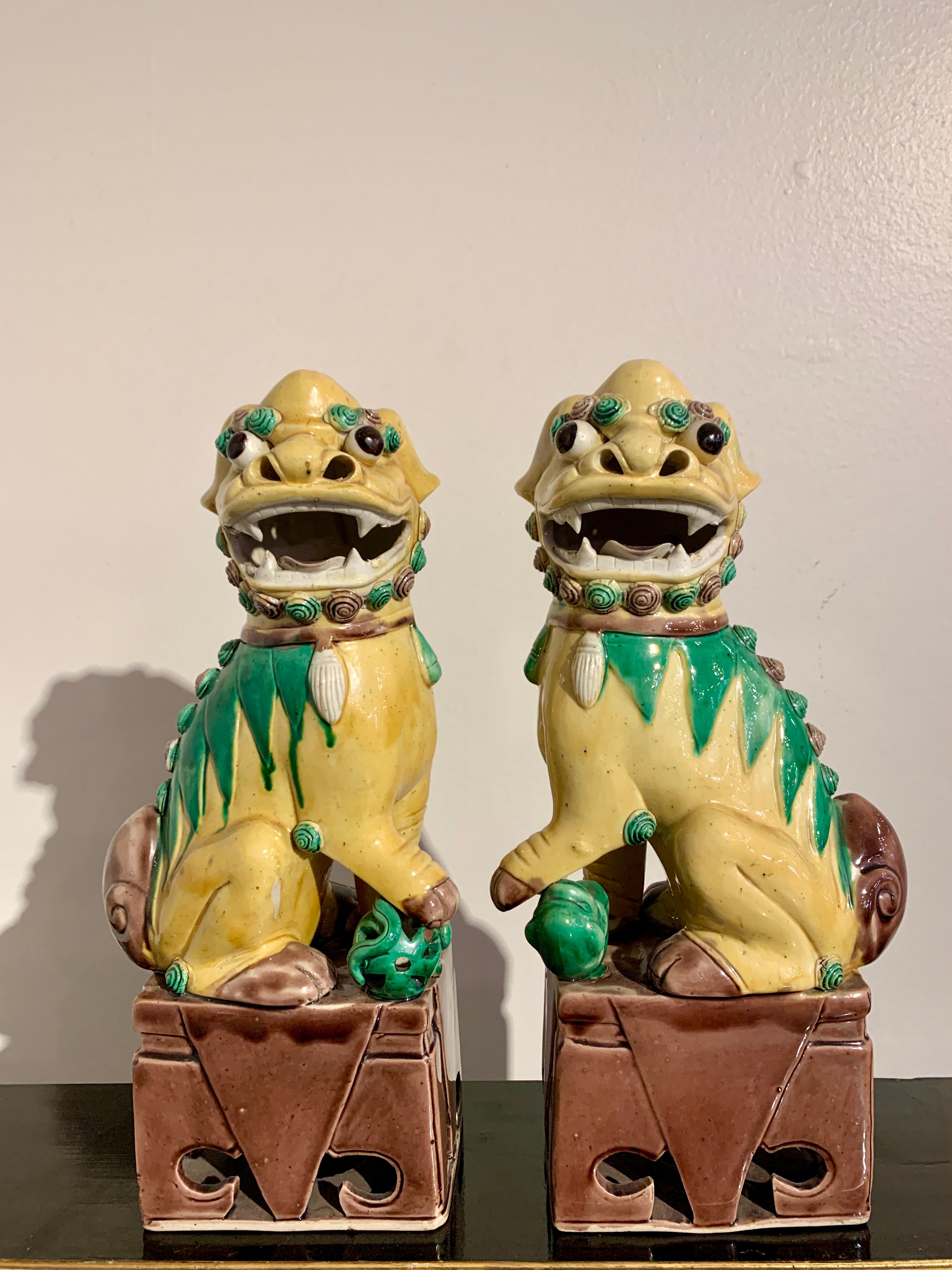 Collection of 16 Chinese Yellow Glazed Foo Dogs, Early 20th Century, China 3