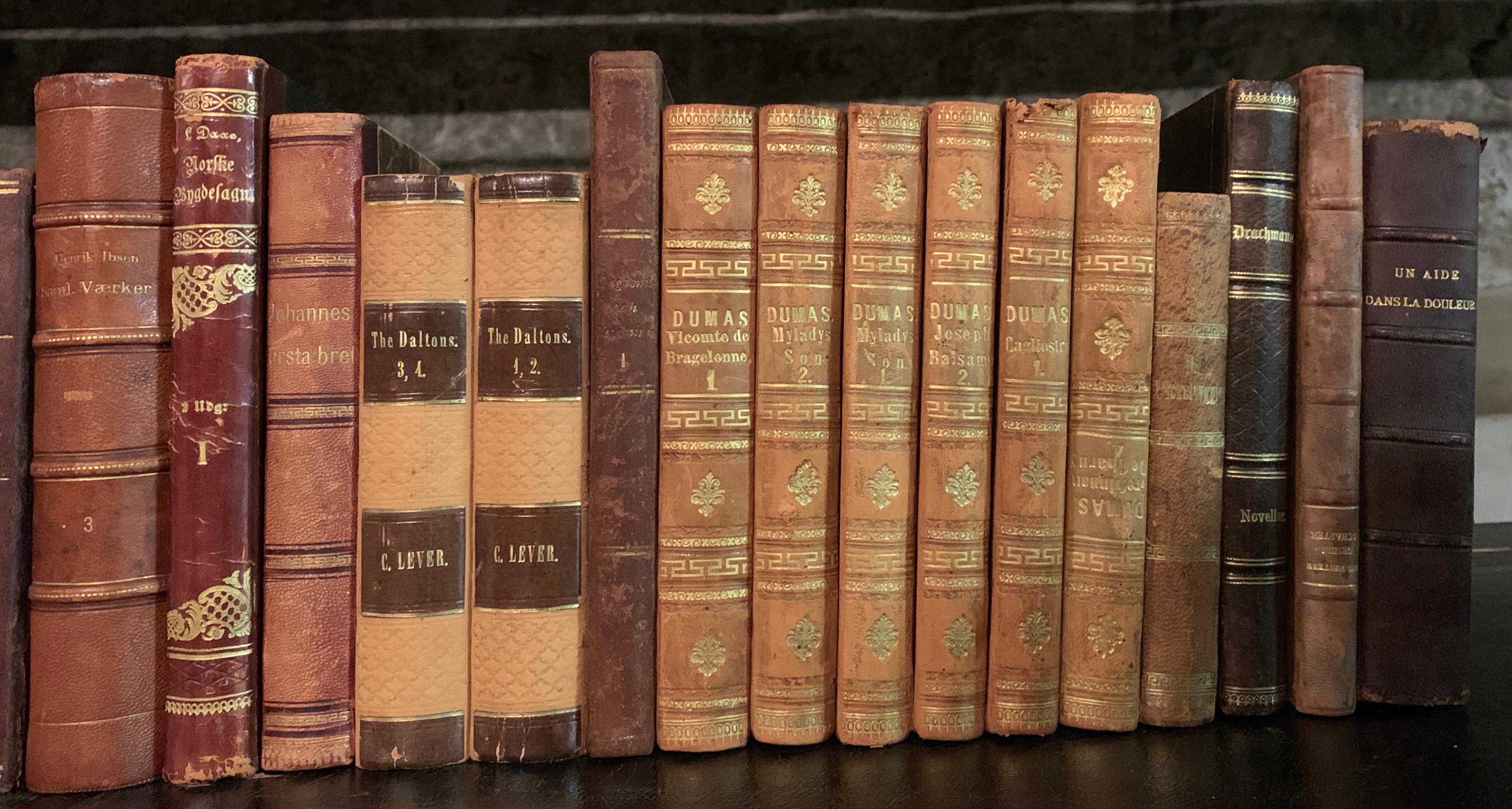 Collection of 19 European 19th Century Leather-Bound Books 1