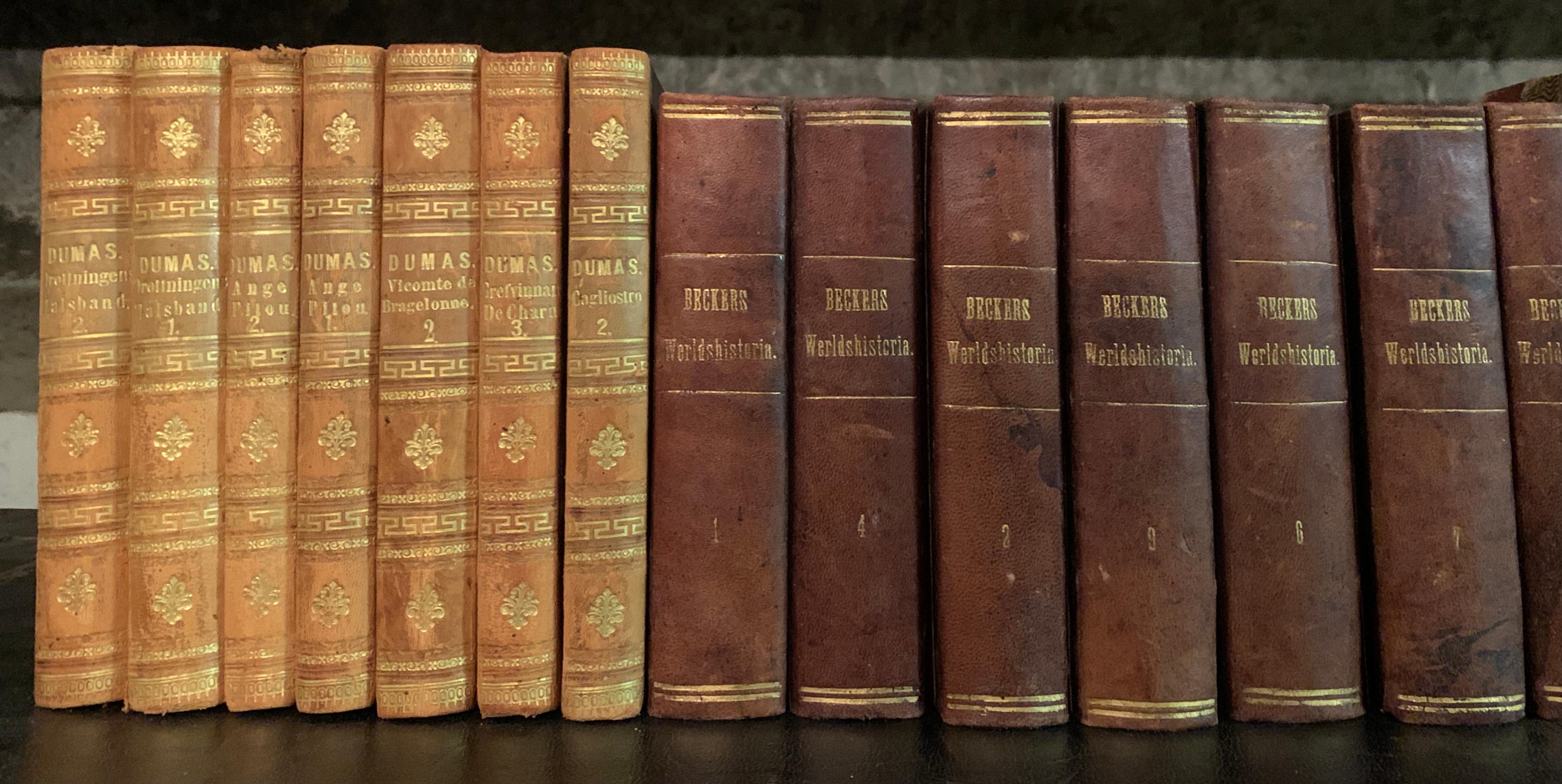 Collection of 19 European 19th Century Leather-Bound Books 2