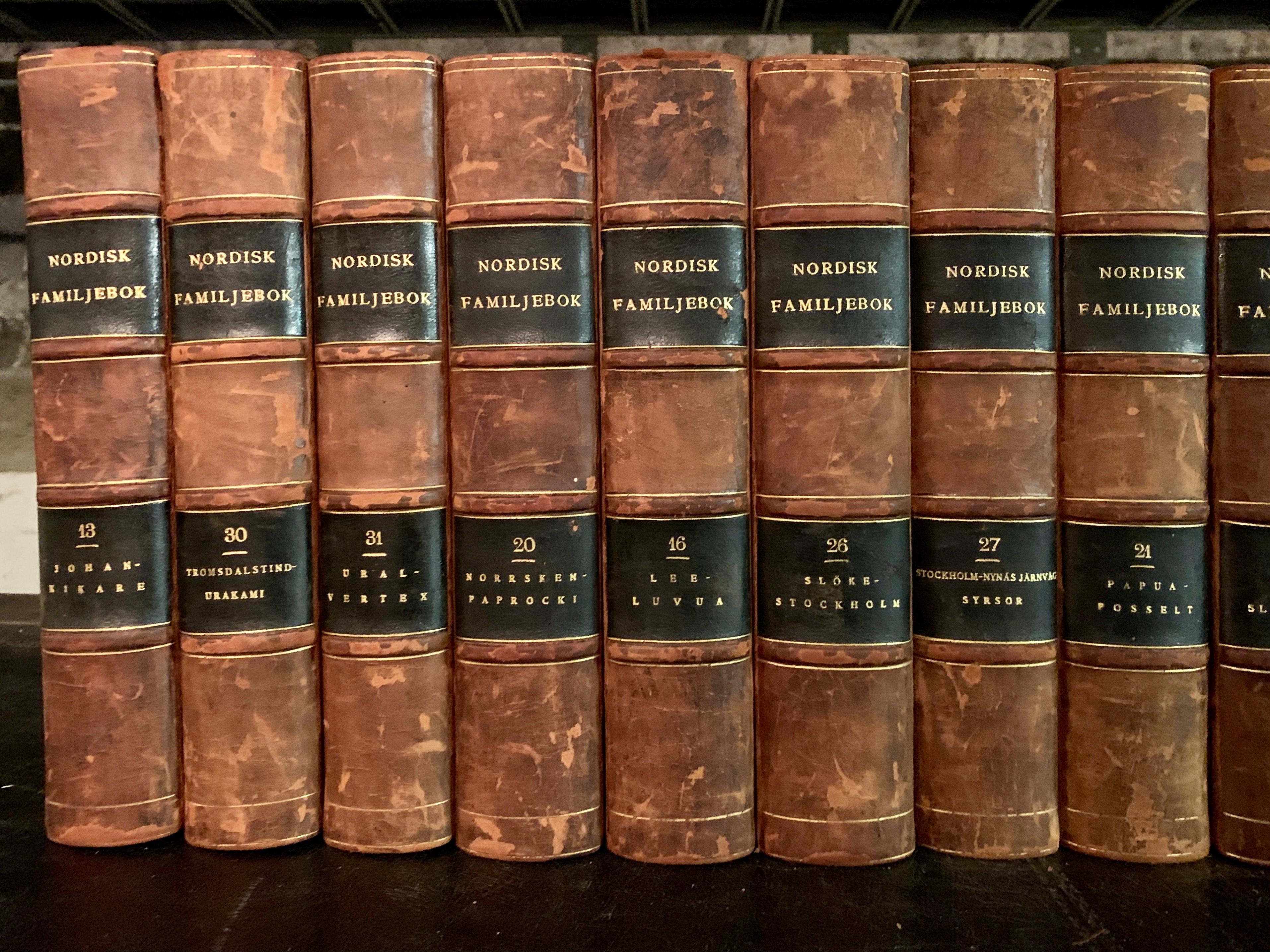 Swedish Collection of 19 Scandinavian Antique Leather-Bound Books