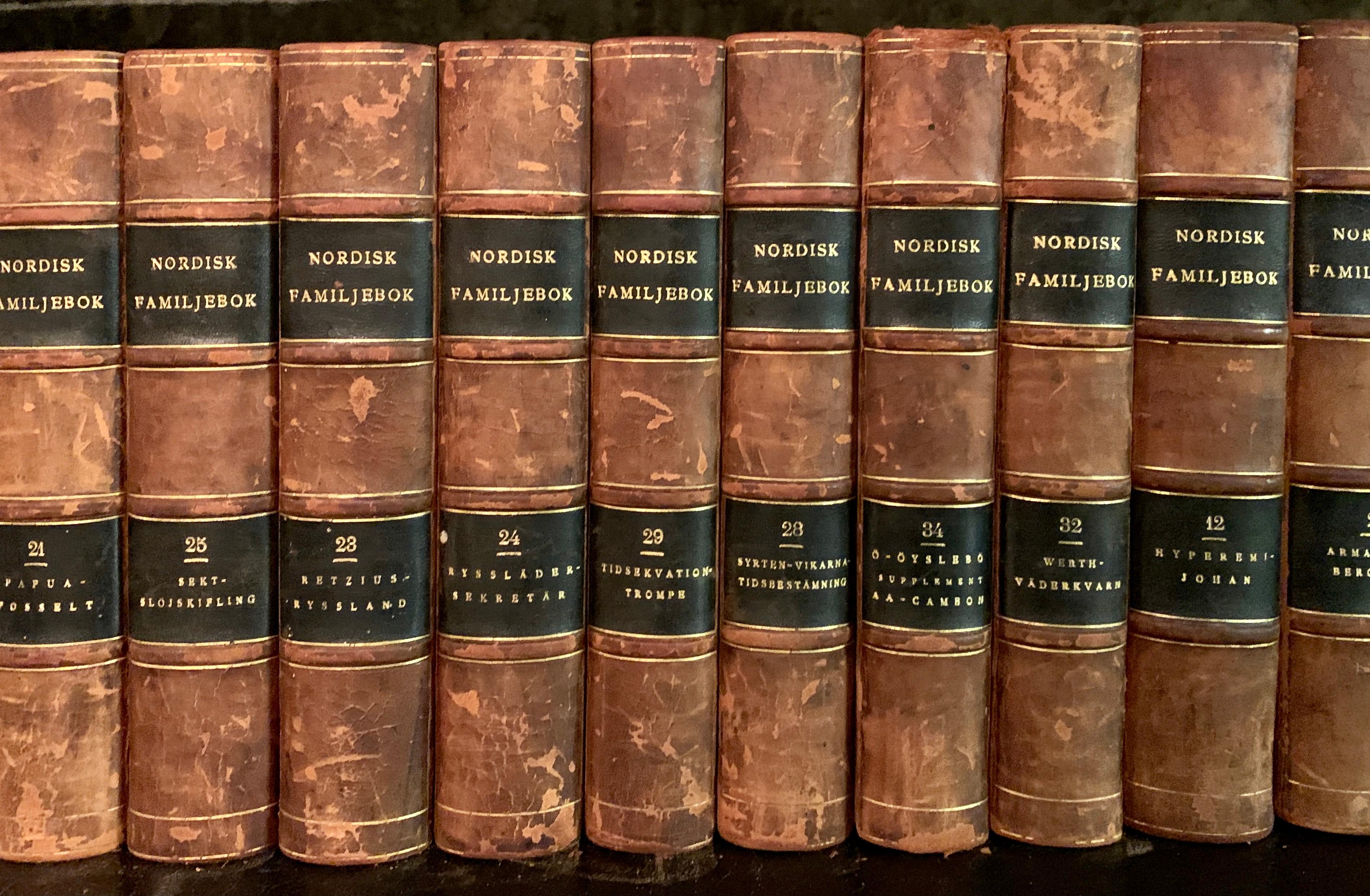 Collection of 19 Scandinavian Antique Leather-Bound Books In Good Condition In Haddonfield, NJ