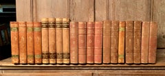 Collection of 19 Swedish 20th Century Leather-Bound Books