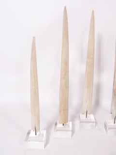 Collection of 1930s-1940s Trophy Swordfish Bills