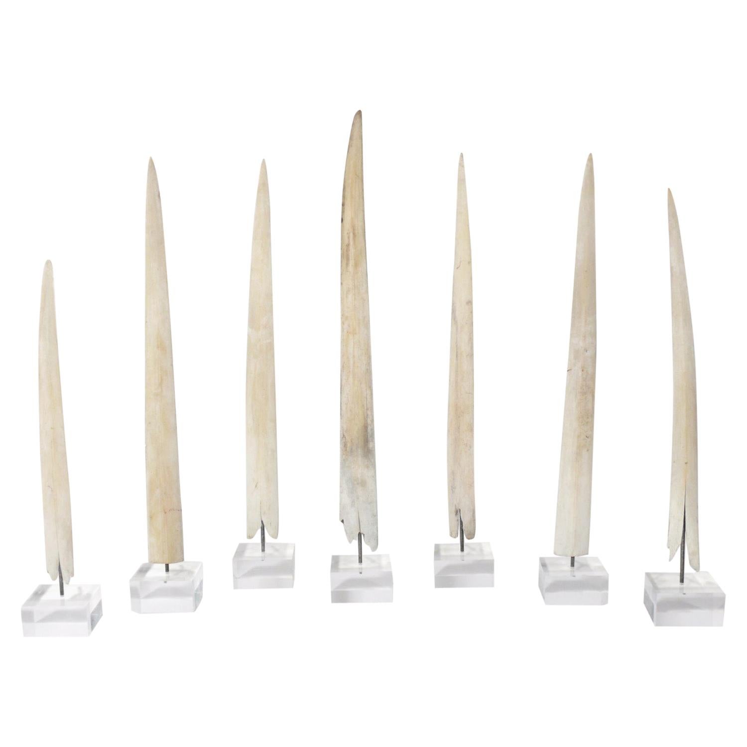 Swordfish Bill 2 For Sale on 1stDibs swordfish bill for sale