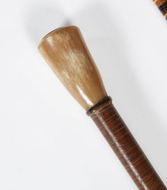 Collection of 19th c. Horn Walking Sticks