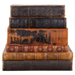 Colección del s. XIX Libros encuadernados en piel c.1822-1908