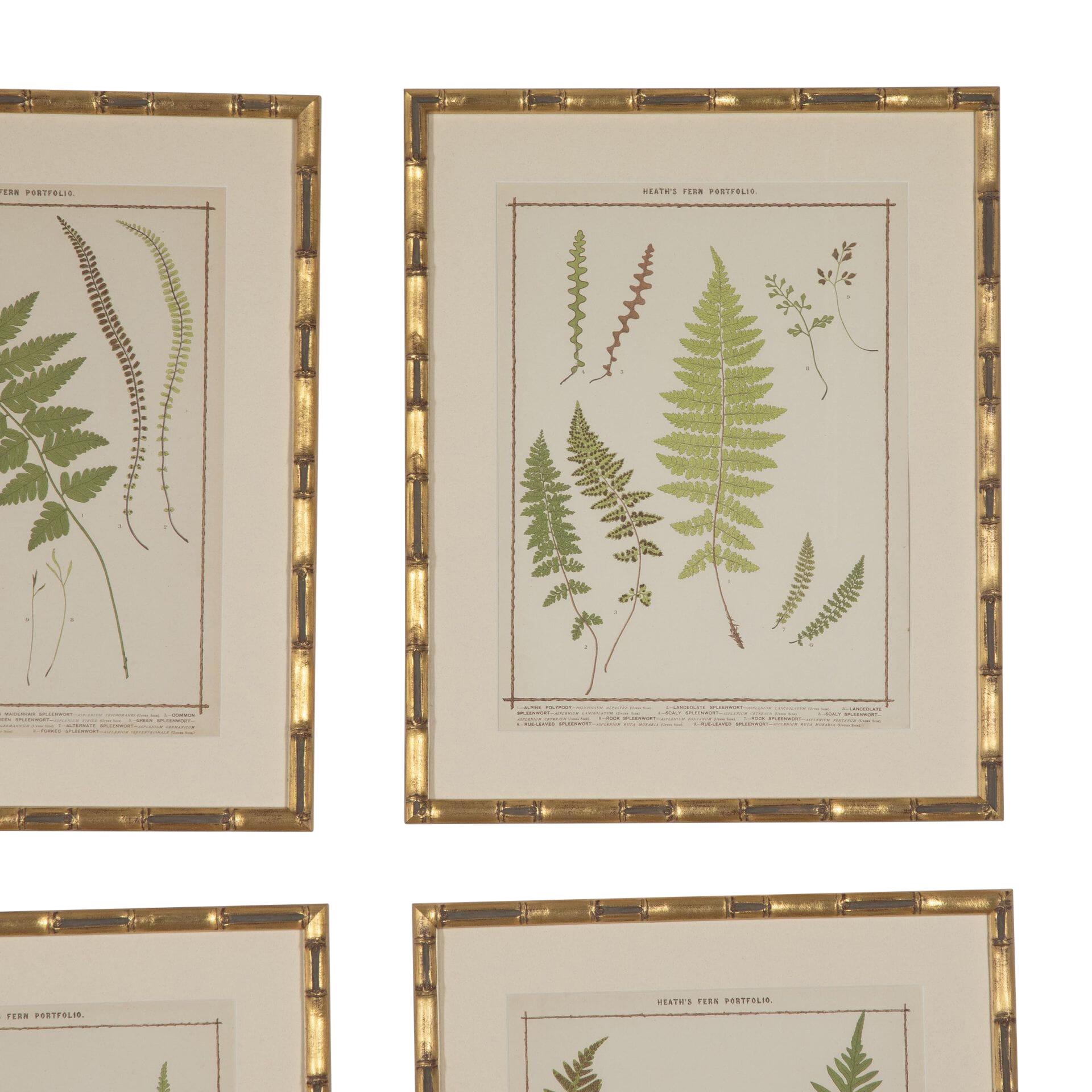 Collection of 19th Century chromolithographs of life-size British ferns by Francis George Heath. 
Framed in Italian faux bamboo frames, with true vu glass.
