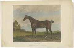 Collection of 19th-Century Hand-Colored Engravings of Famous Racehorses, c.1830