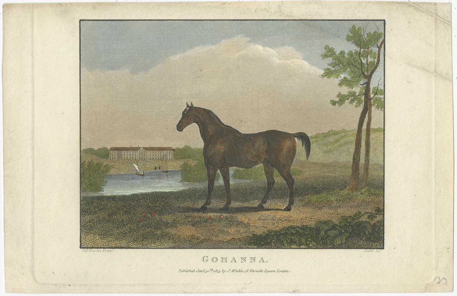 Kollektion von handkolorierten Gravuren berühmter Rennpferde aus dem 19. Jahrhundert, um 1830 (Graviert) im Angebot
