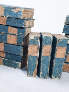 Collection of 20 Antique French Blue Buffon Books