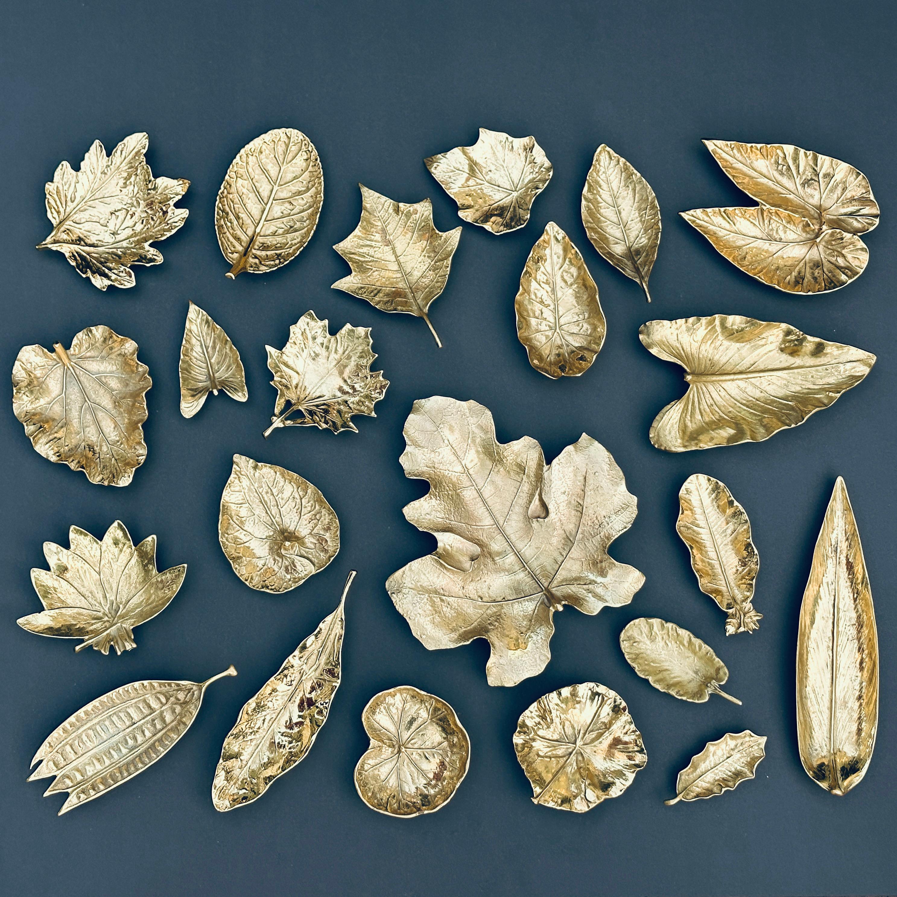 Beautiful collection of 22 solid brass leaf sculptures by Virginia Metalcrafters. Each piece signed on the backside with the VMC logo and embossed with item number and type of leaf. Largest 11