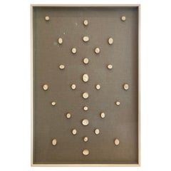 Plaster Shadow Boxes