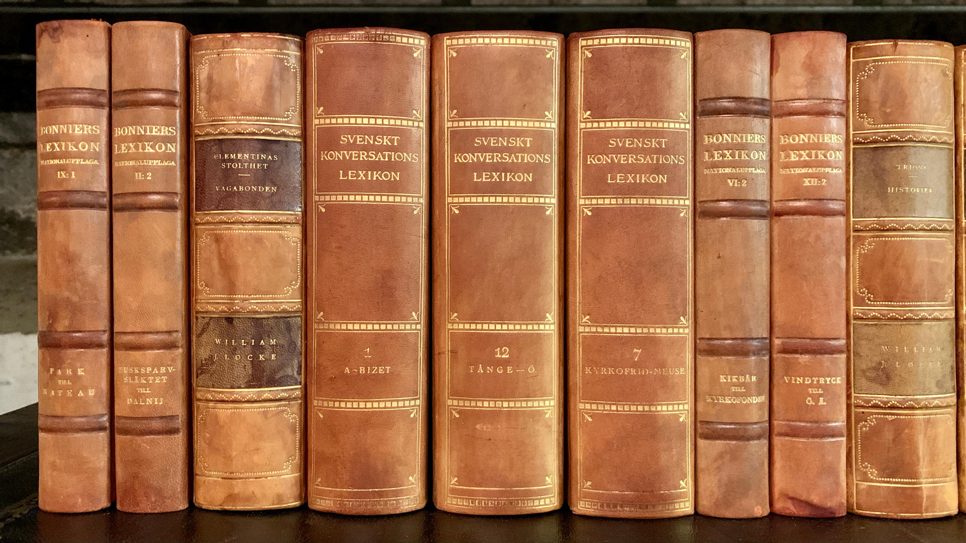 Swedish Collection of 32 Scandinavian Antique Leather-Bound Books