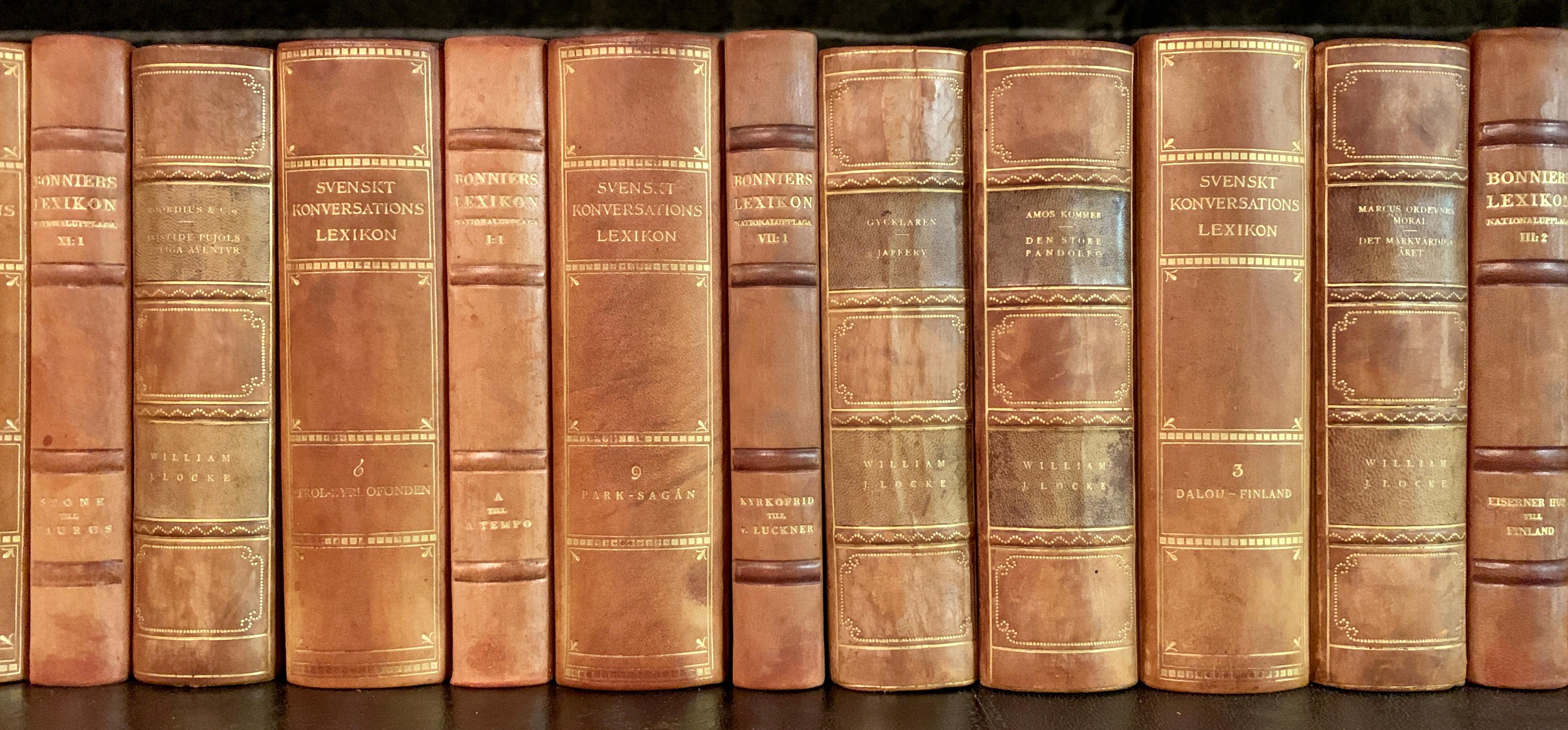 20th Century Collection of 32 Scandinavian Antique Leather-Bound Books