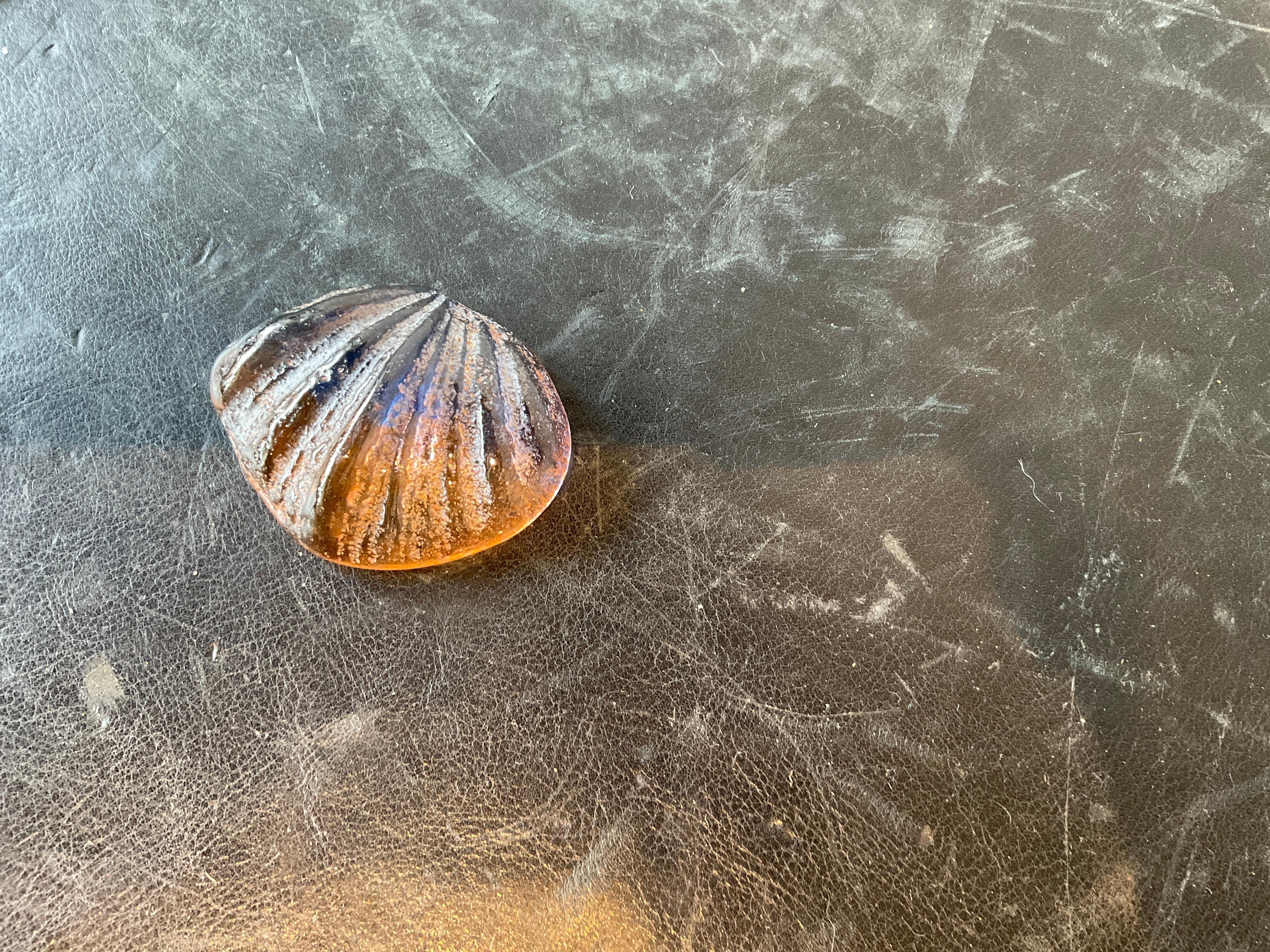 Collection Of  34 Iridescent Glass Shells For Sale 2