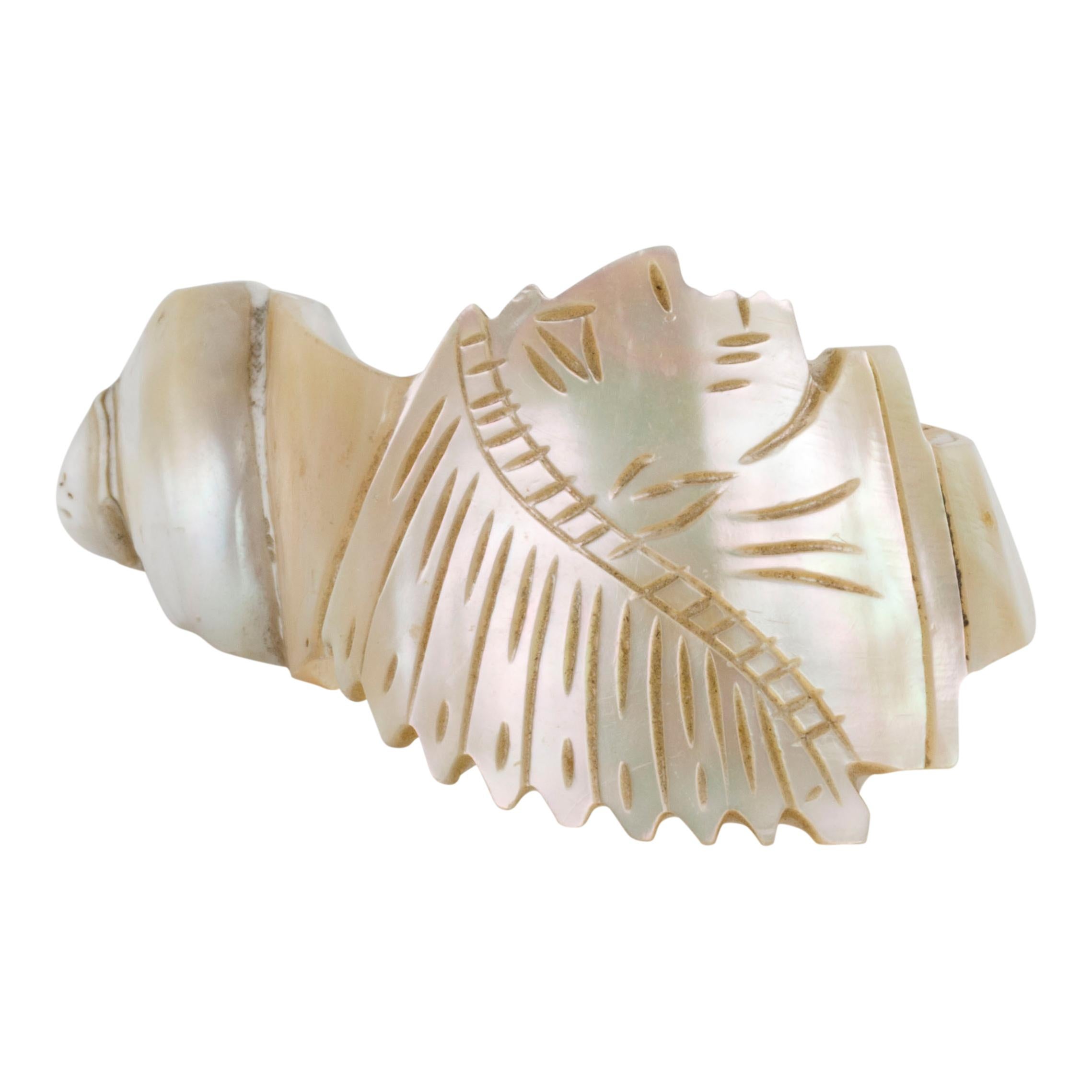 Collection of 4 1890s Carved Conch Napkin Rings In Good Condition For Sale In Coeur d Alene, ID