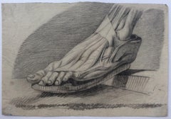 Collection of 4 Antique Anatomical Drawings